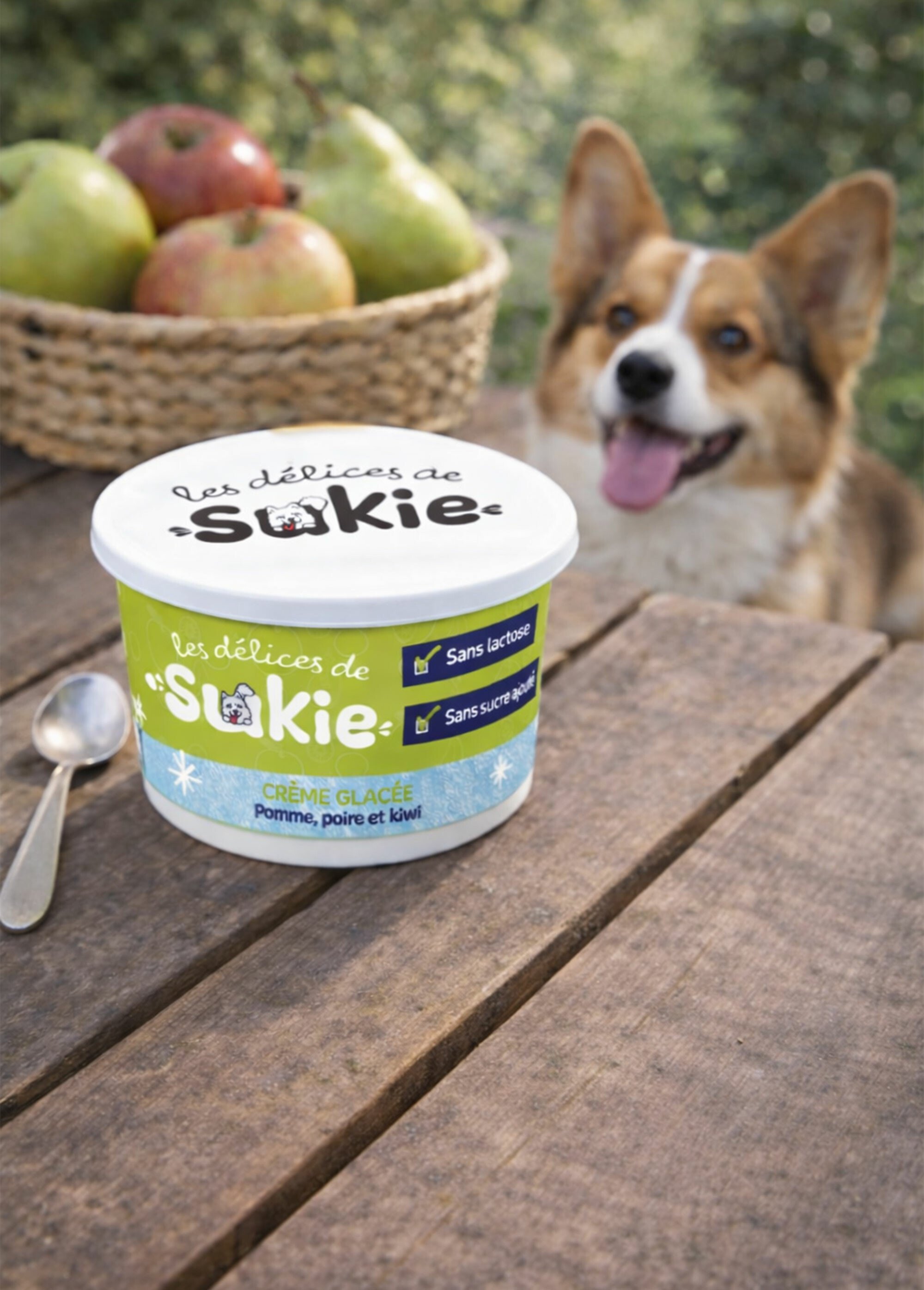 Glace pour chien, pomme/poire/kiwi MARRON RIG-00006500EL SI1