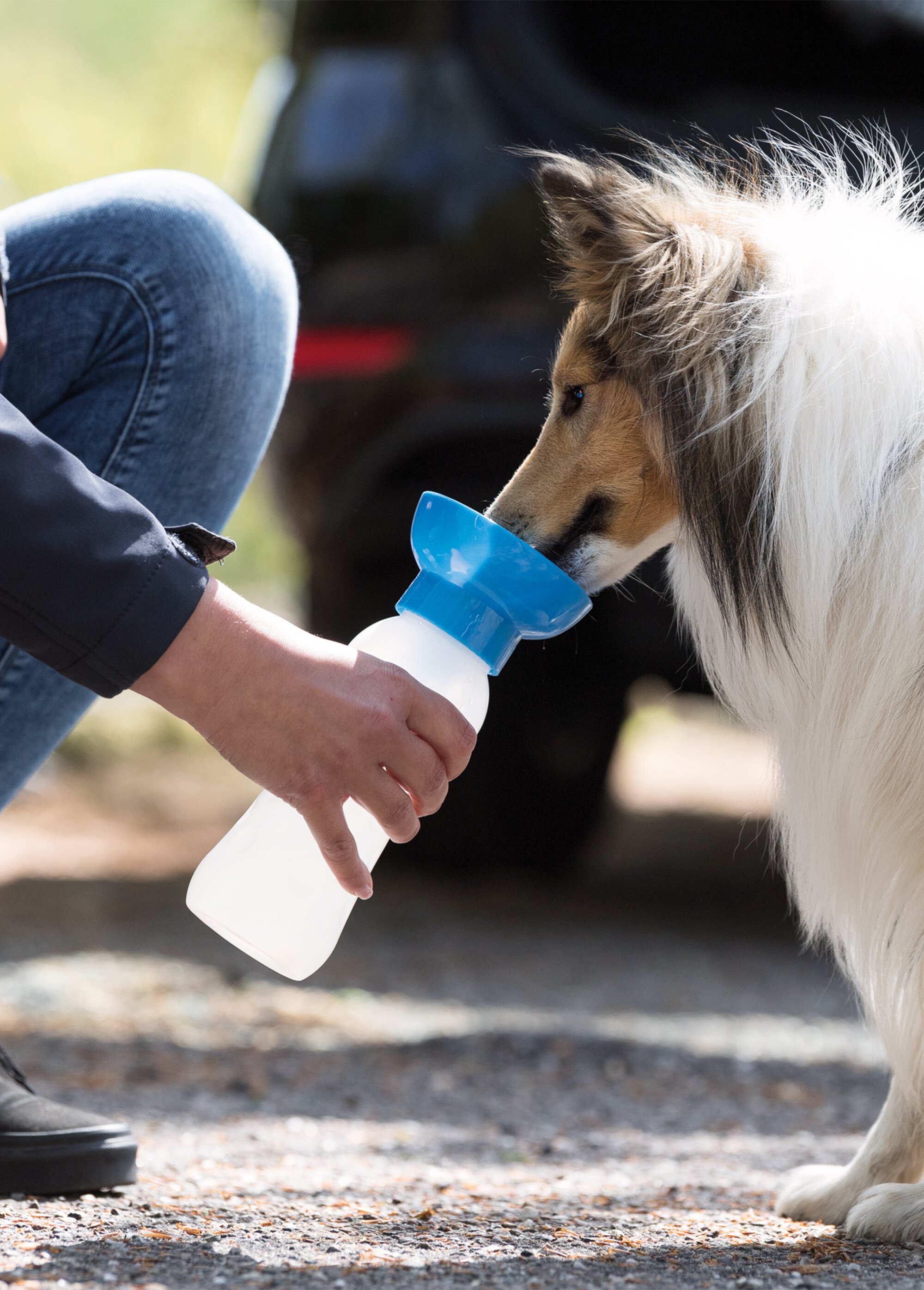 Gourde avec gamelle pour animaux TRANSPARENT ET BLEU TRX-24609 SI1