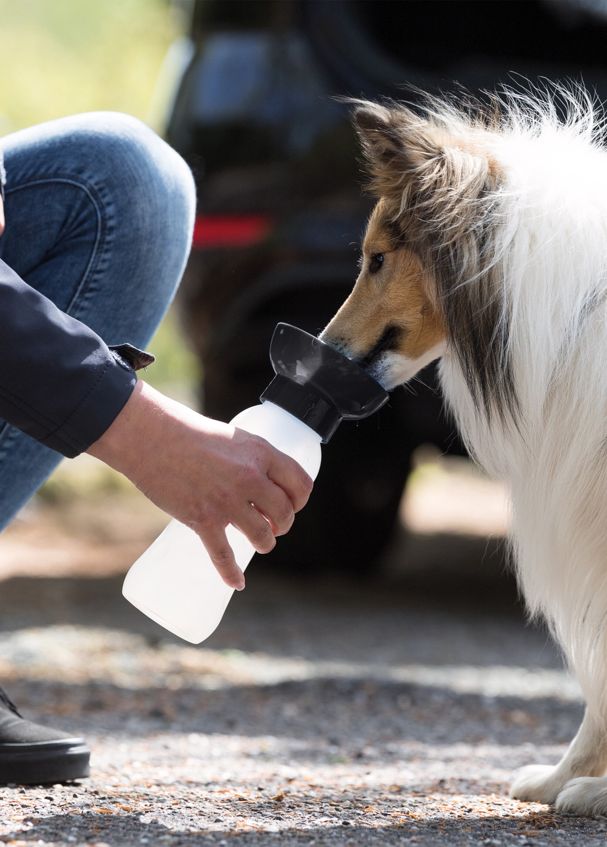 Gourde avec gamelle pour animaux NOIR TRX-24609 SI1