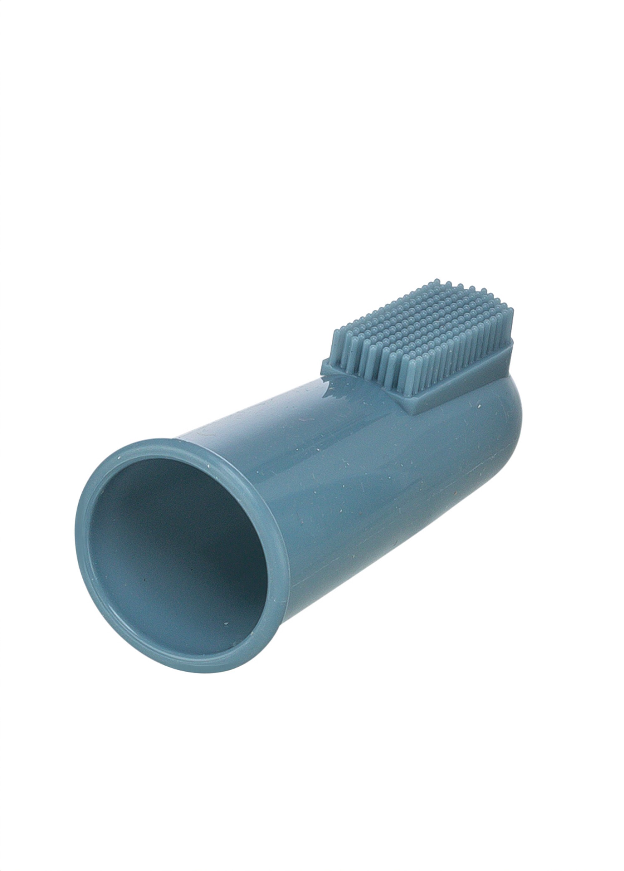 Lot de 2 brosses à dents silicone animaux BLEU TRX-25624 DE1