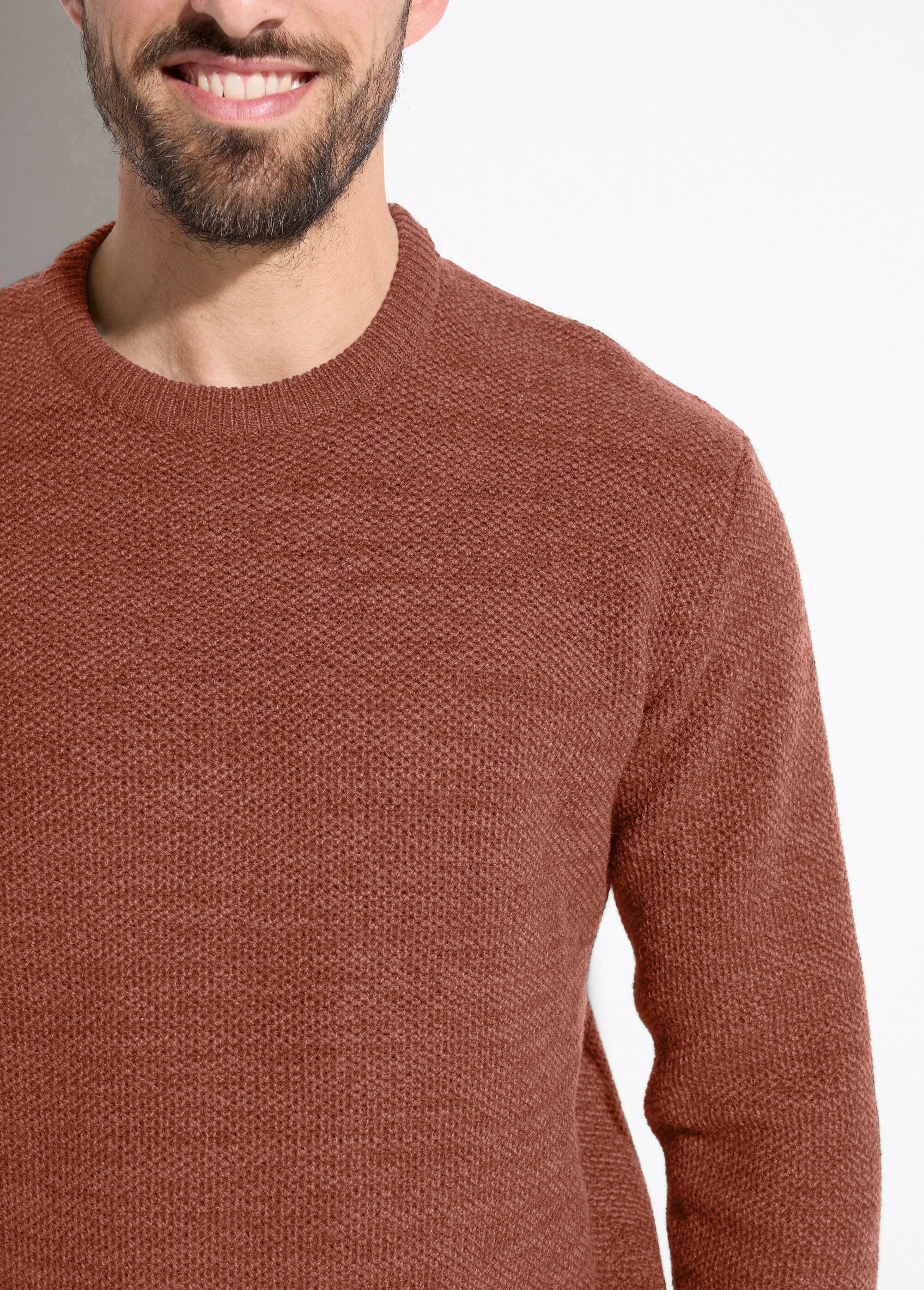 Pull col rond maille chinée laine manches longues Homme BRIQUE  FAUNE DE1
