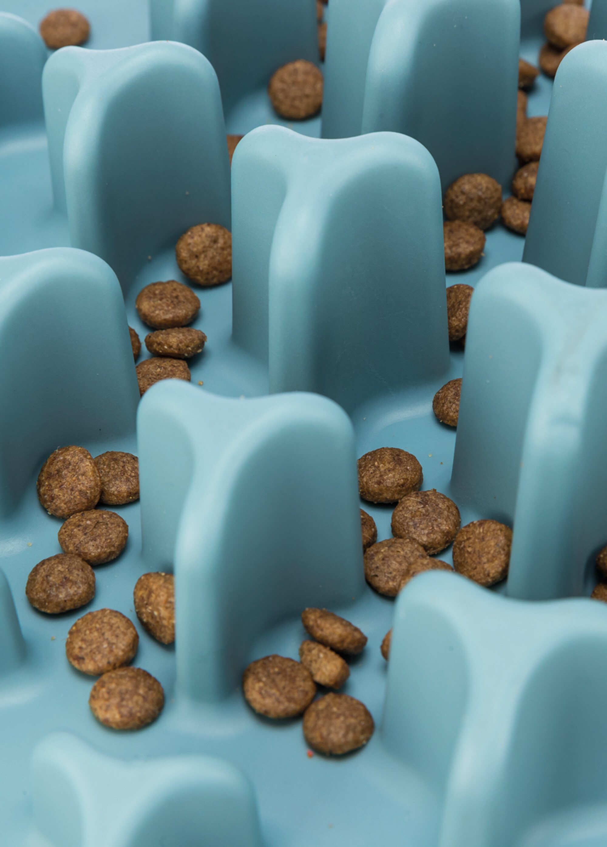 Set de table pour animaux SLOW FEEDING BLEU TRX-25038 DE1