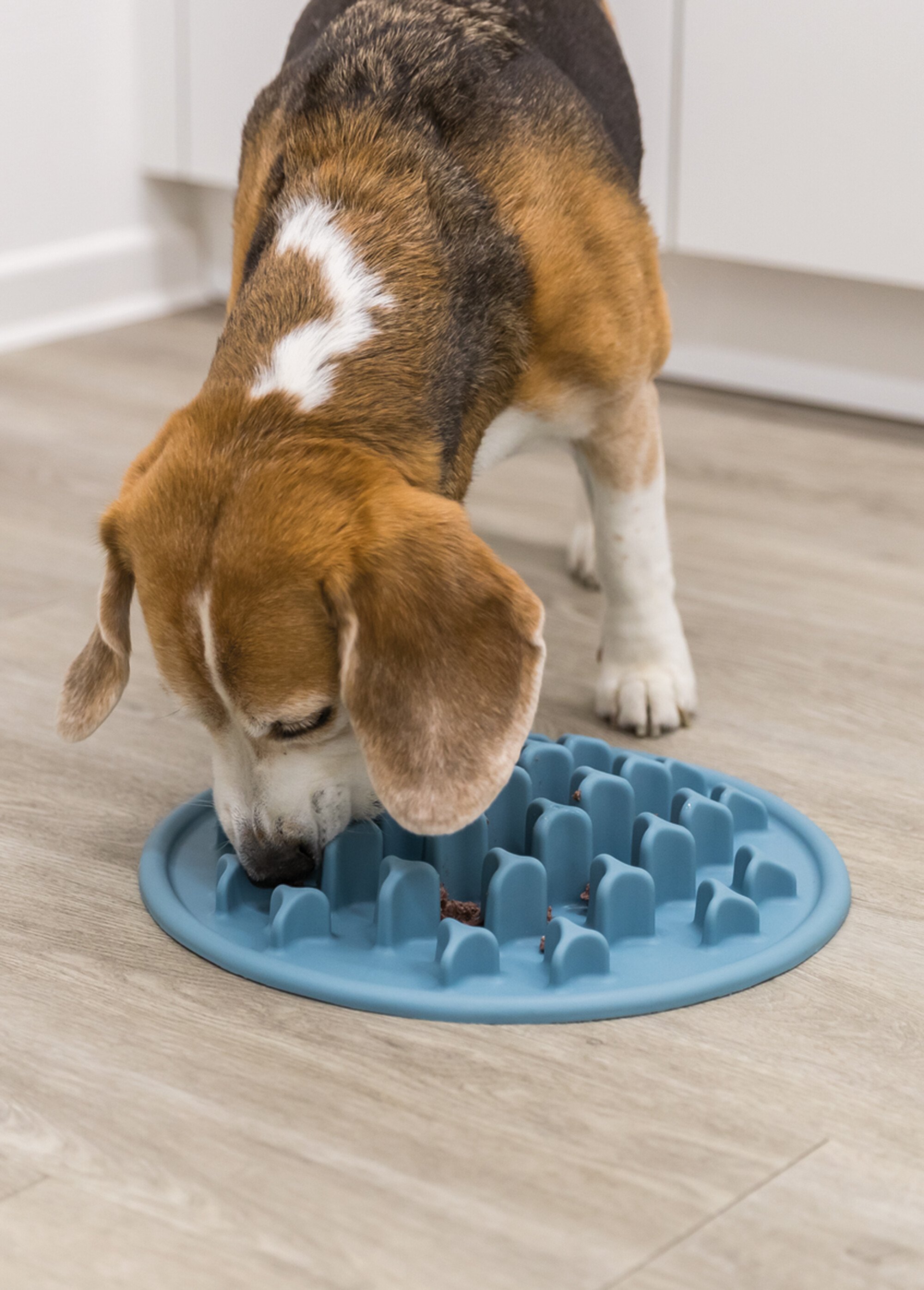 Set de table pour animaux SLOW FEEDING BLEU TRX-25038 SI1