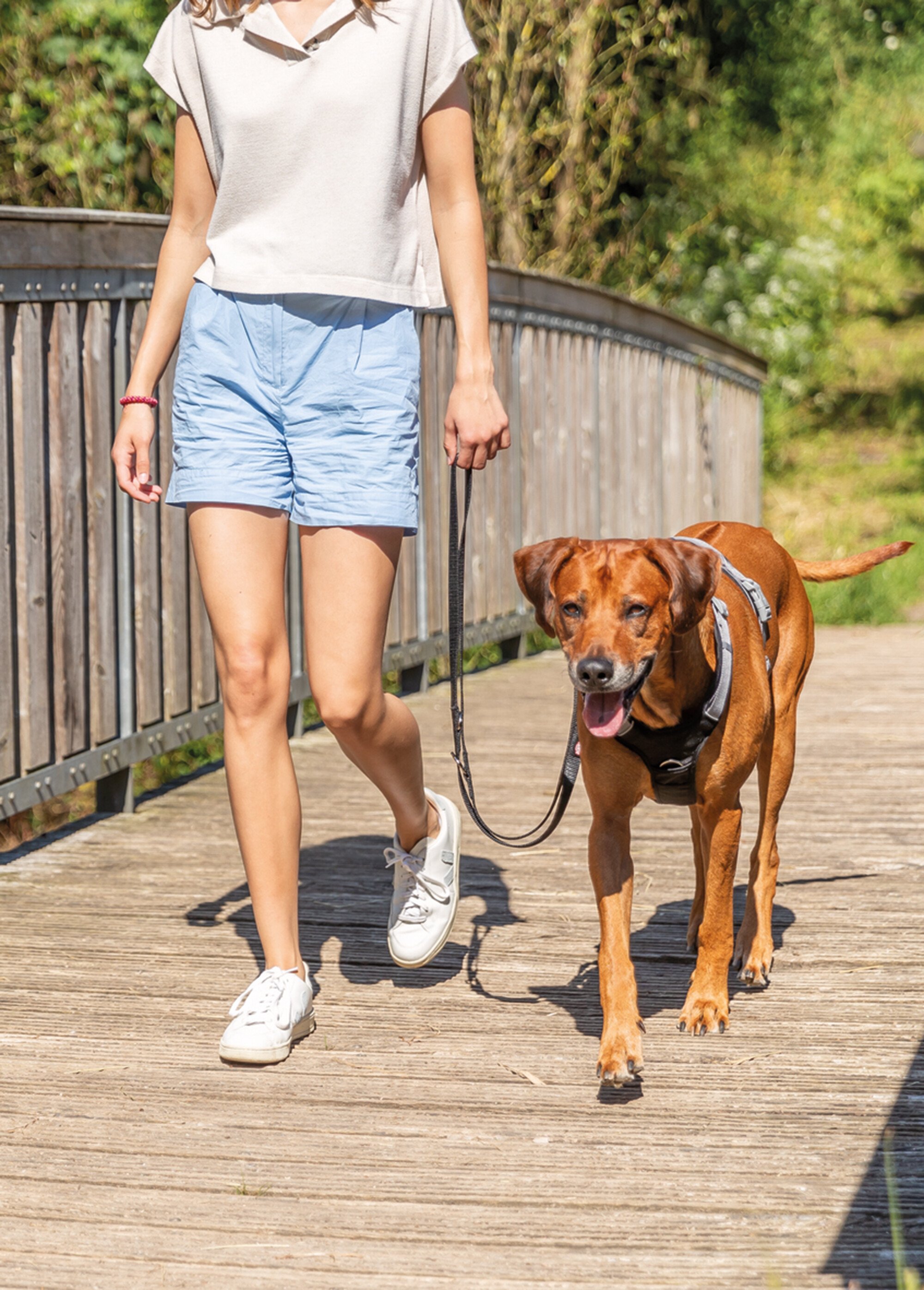 Laisse réglable Premium pour chien NOIR TRX-200401 SI1