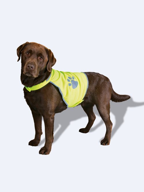 Gilet de sécurité réfléchissant pour chien JAUNE TRX-30080 FA1