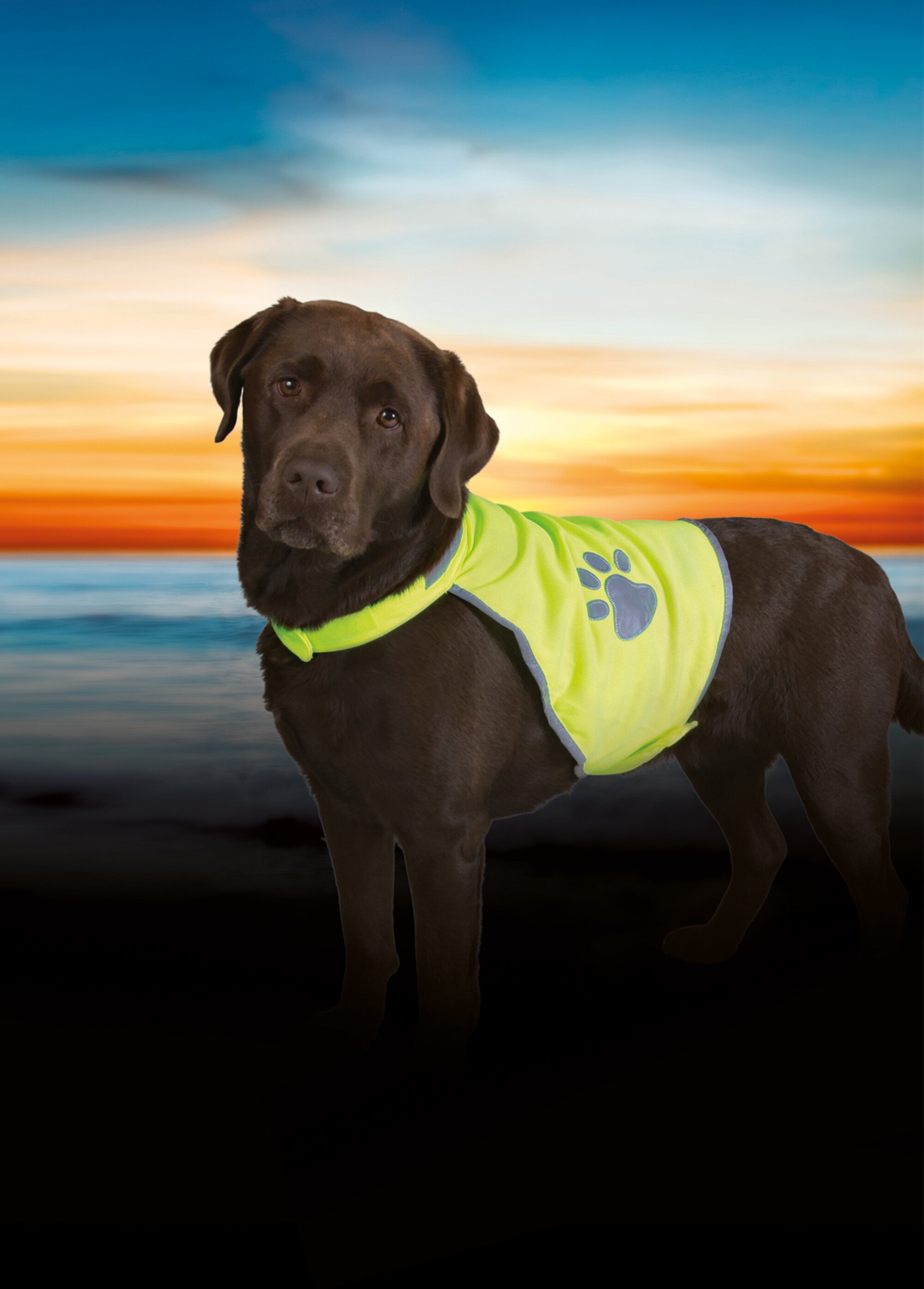 Gilet de sécurité réfléchissant pour chien JAUNE TRX-30080 SI1