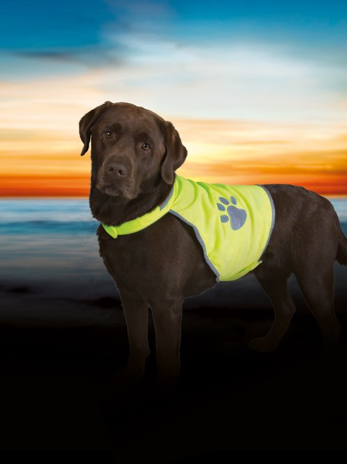 Gilet de sécurité réfléchissant pour chien JAUNE TRX-30080 SI1
