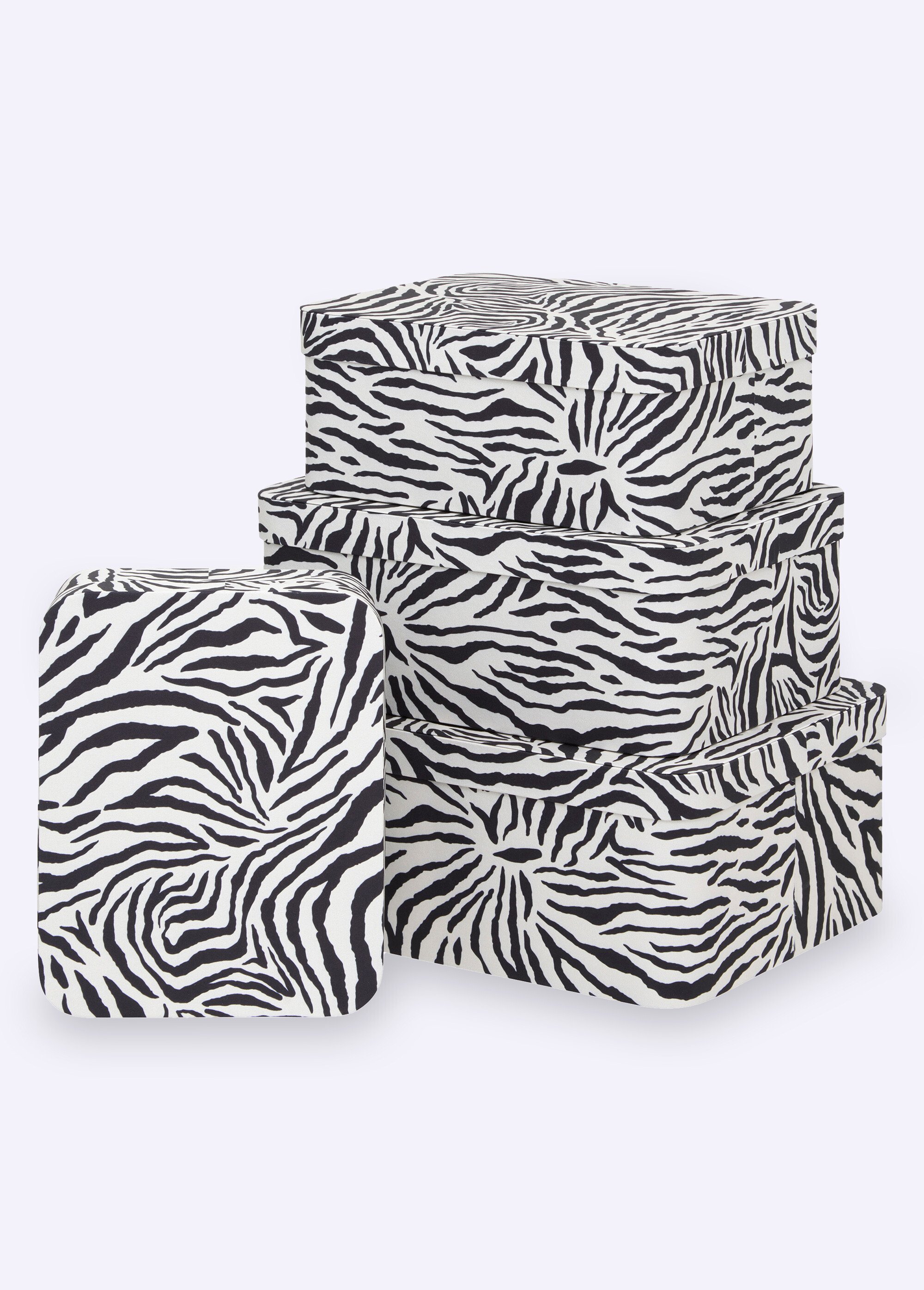 Set 4 boites assorties carton, animalier