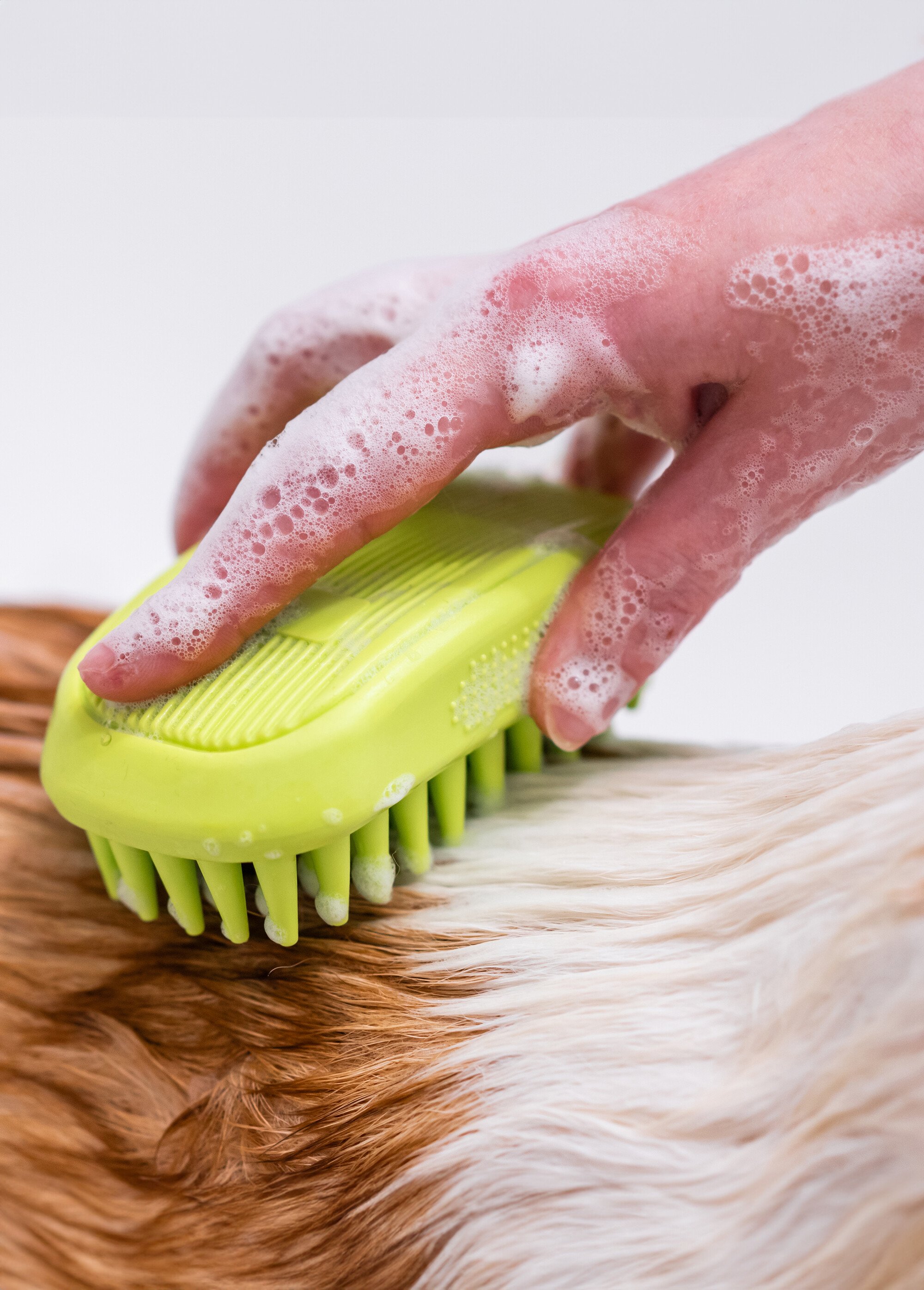 Shampoing soin démêlant pour chien BLANC TRX-2921 DE1