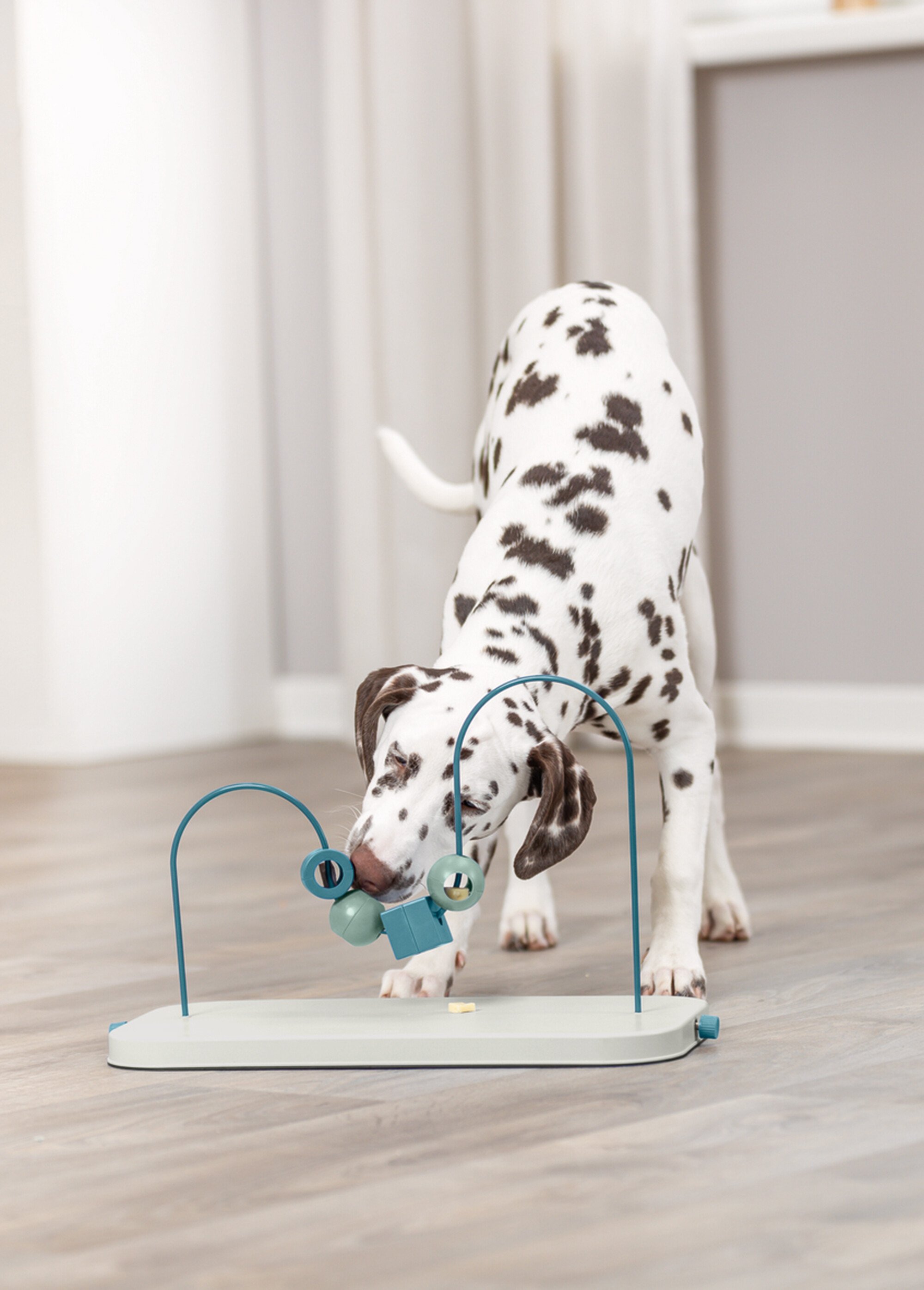 Jeu de stratégie pour animaux - Niveau 4 GRIS TRX-32054 SI1