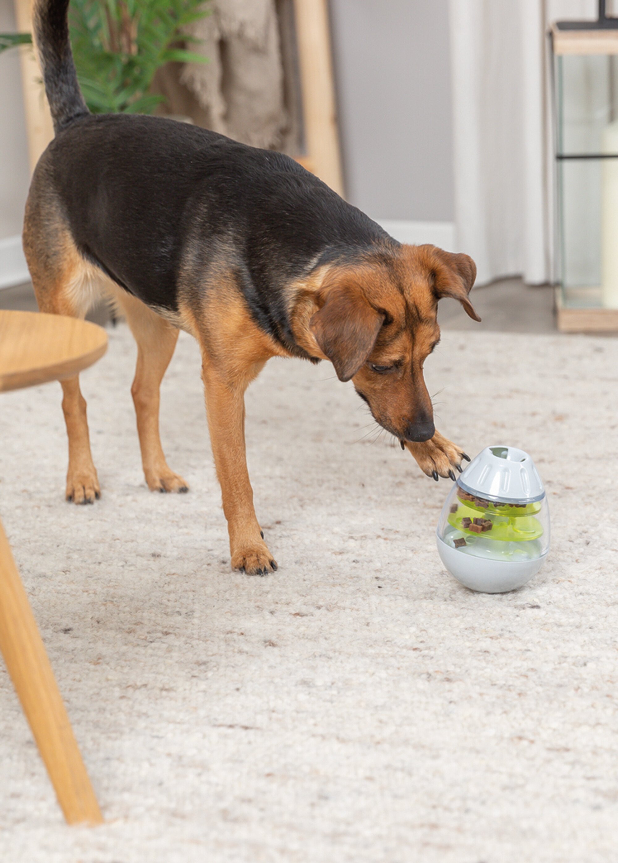 OEuf culbuto à friandises, pour animaux GRIS TRX-34951 SI1