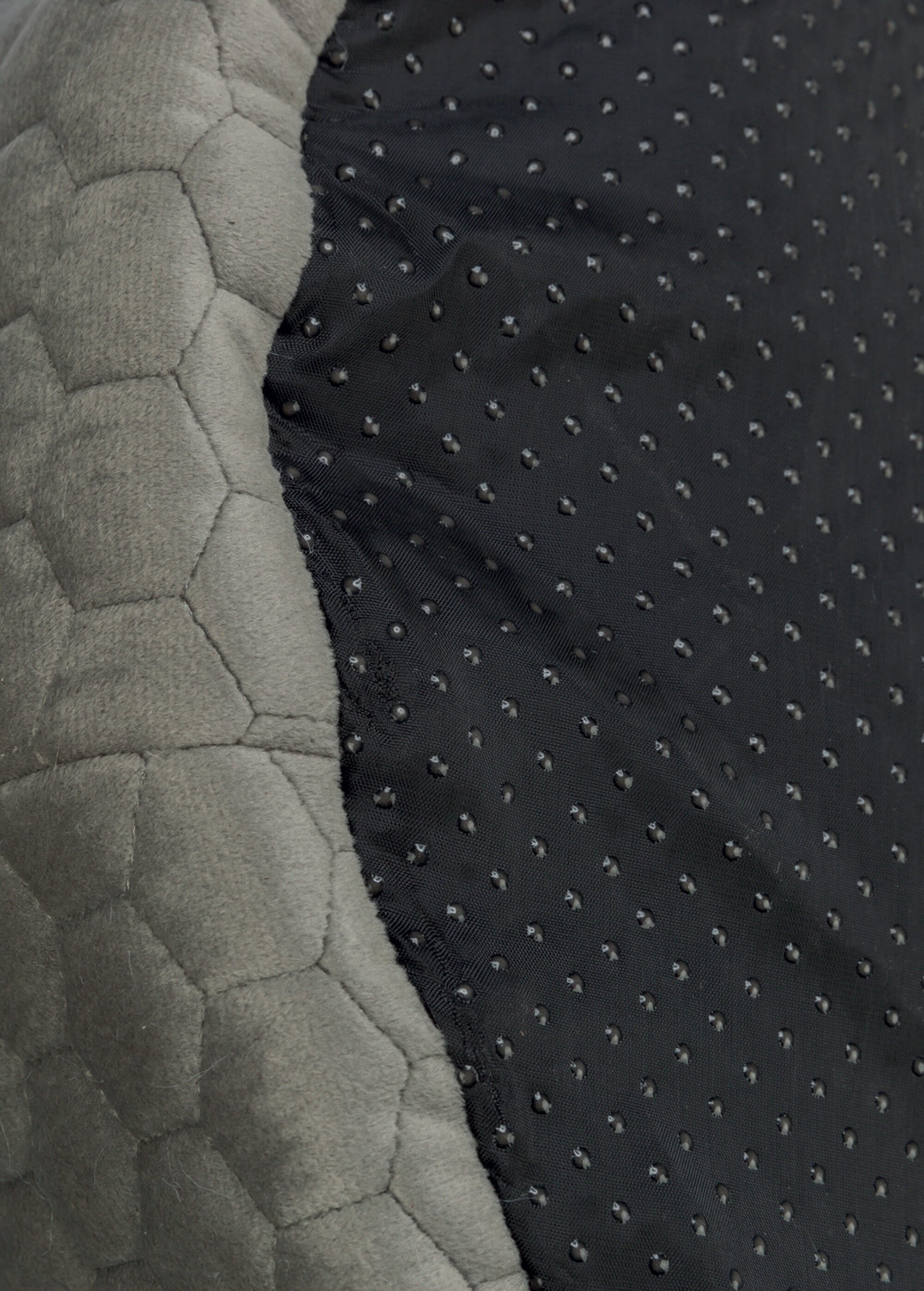 Abri rembourré velours LIVIA, animaux BEIGE TRX-36353 UN1