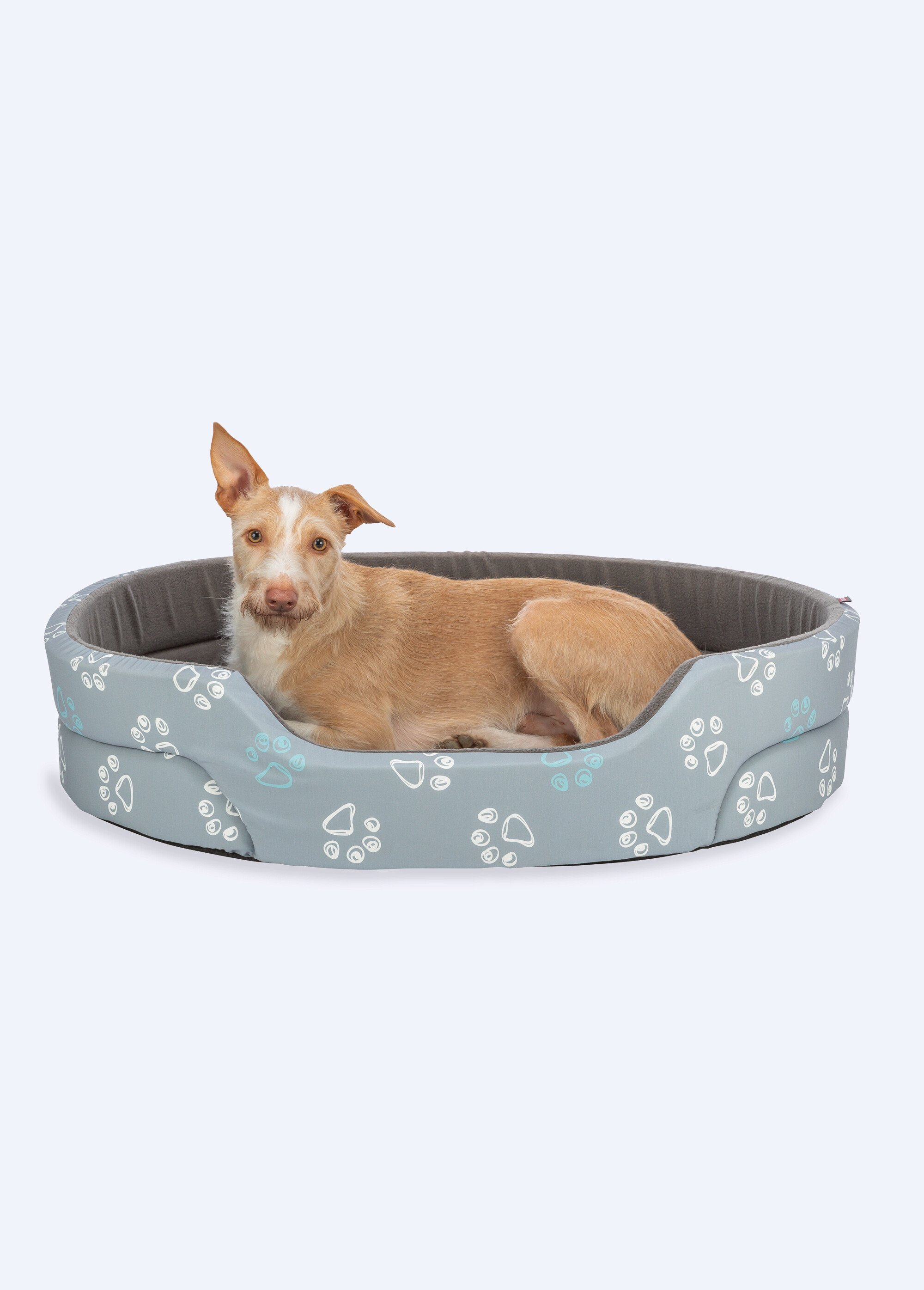 Lit polaire motif pattes JIMMY pour animaux GRIS TRX-377061 FA1