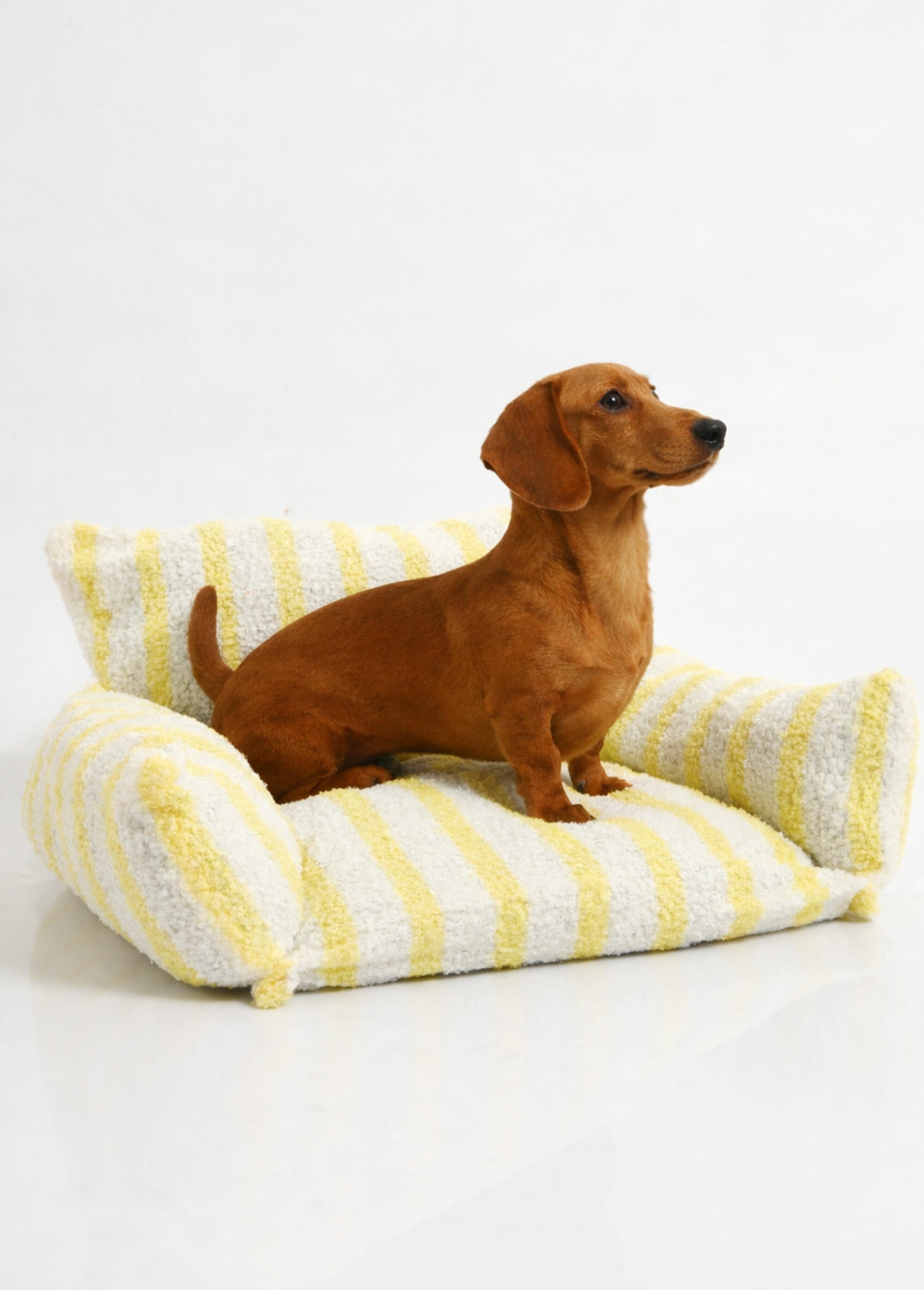 Panier rayé pour animal, façon canapé JAUNE KP-PET000040 SI1