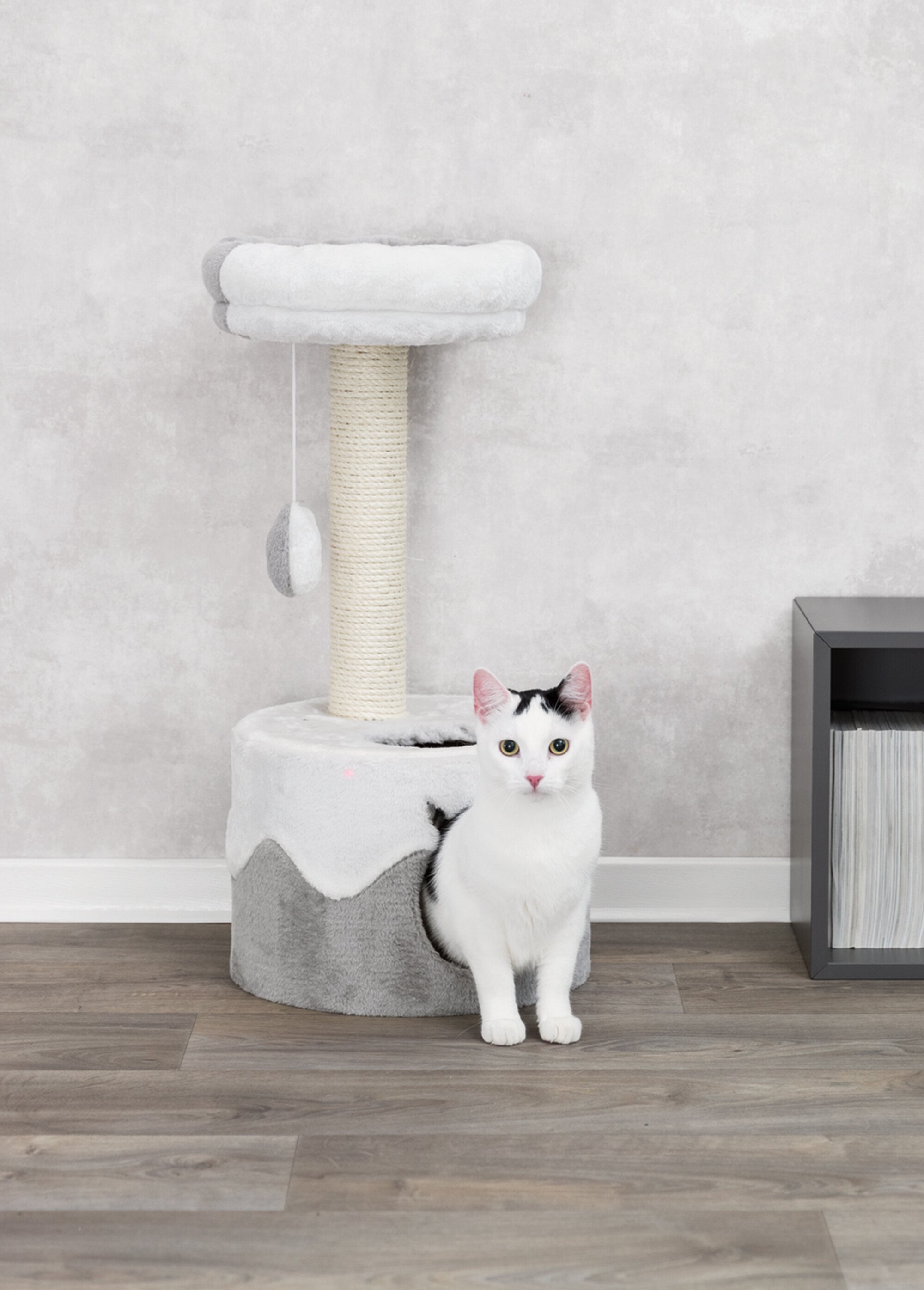 Arbre à chat NURIA, hauteur 71cm BLANC TRX-43794 SI1