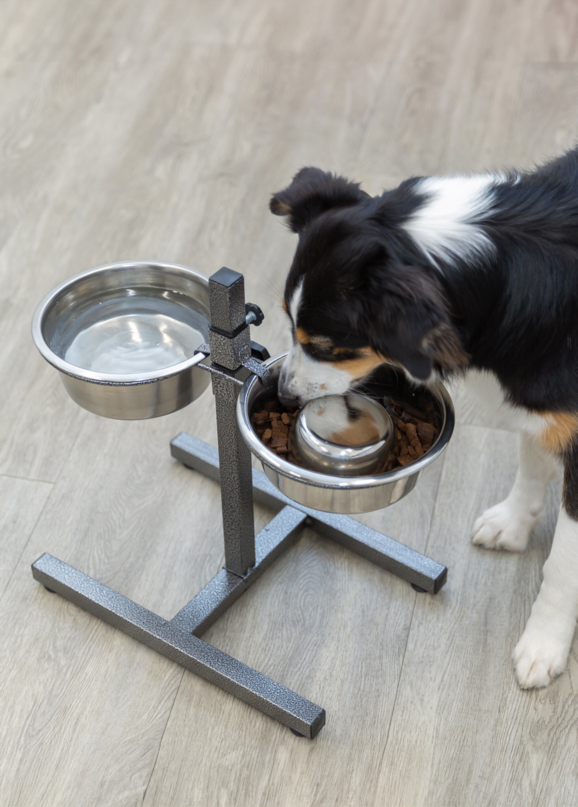 Bar 2 gamelles acier + support réglable NOIR ET INOX TRX-24920 SI1