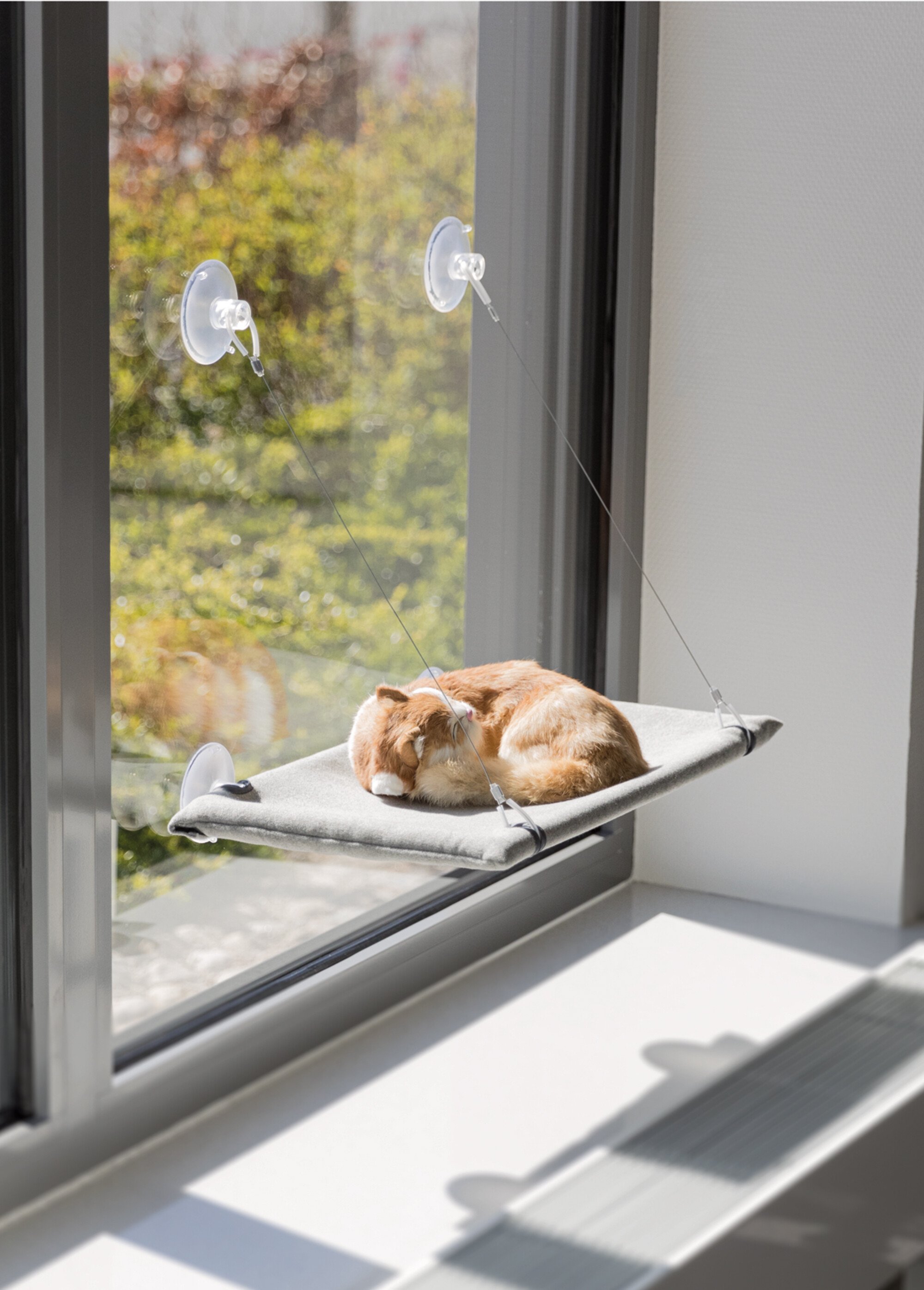 Plateforme ventouses à fixer, pour chat GRIS TRX-43209 SI1