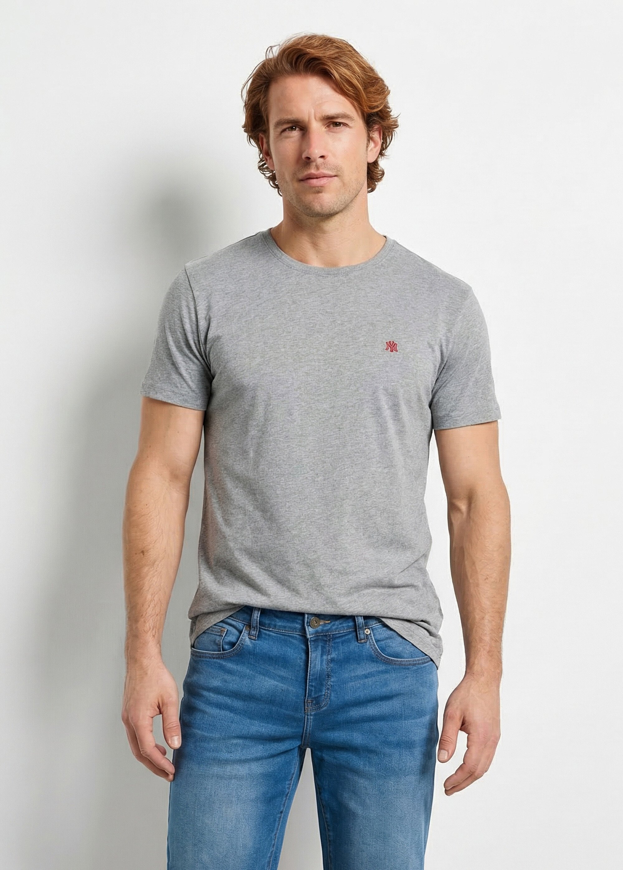 T-shirt col rond brodé manches courtes Homme Gris FABIAN FA1