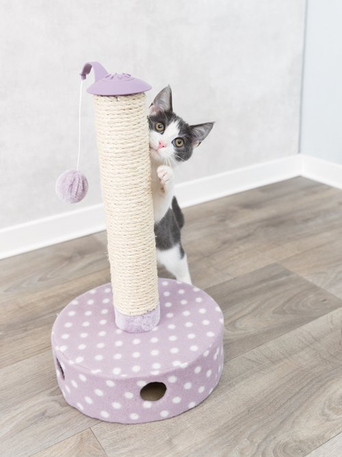 Tronc à griffer peluche + balles, pour chat MAUVE ET NATUREL TRX-42930 SI1