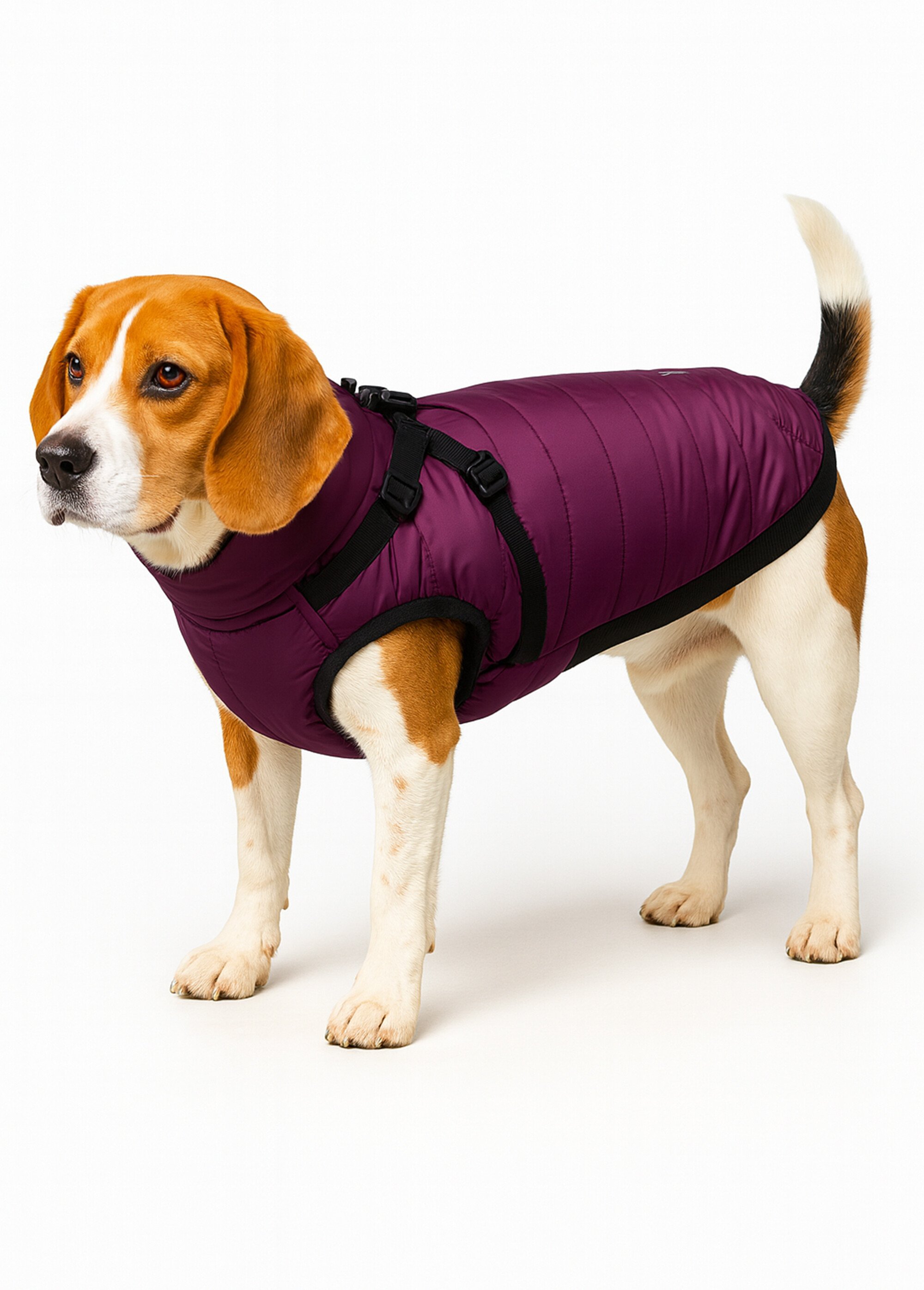 Manteau chaud avec harnais, pour chien