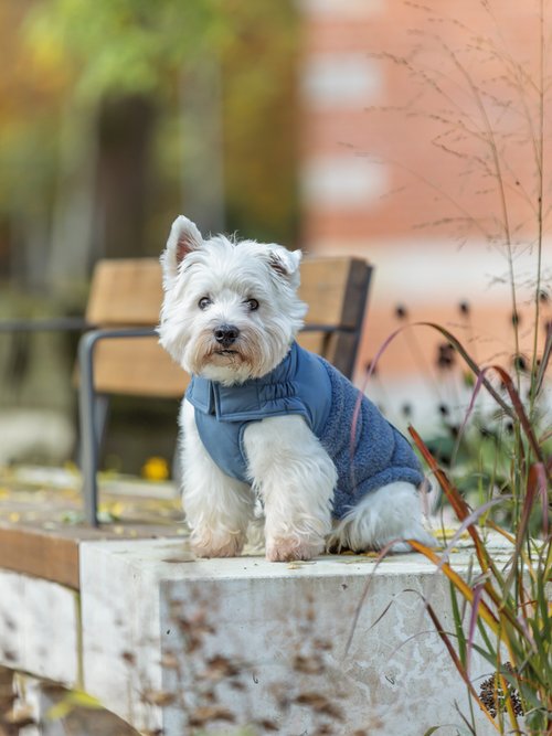 Manteau chaud déperlant pour chien BLEU TRX-680522 SI1