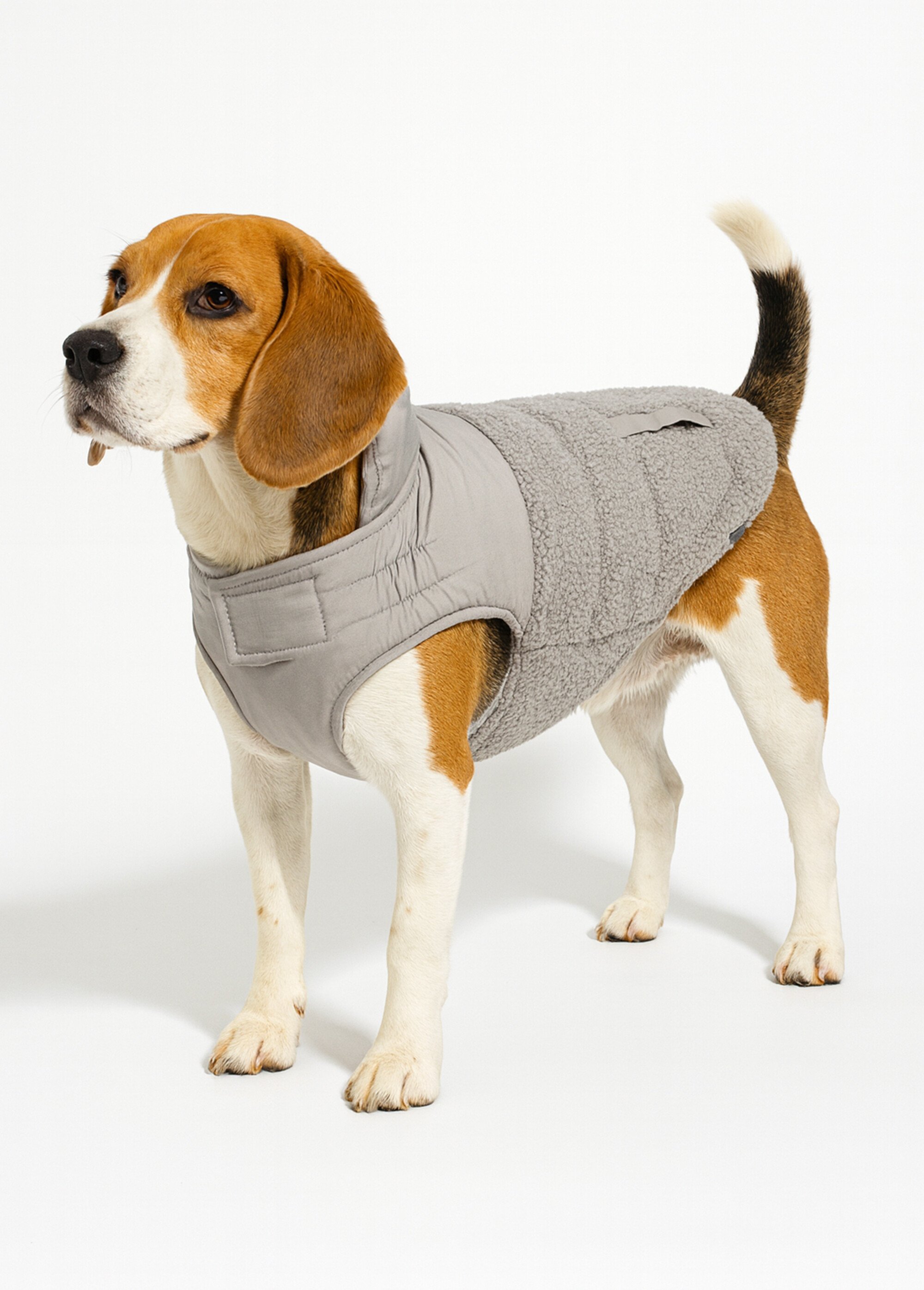 Manteau chaud déperlant pour chien GRIS TRX-680522 FA1