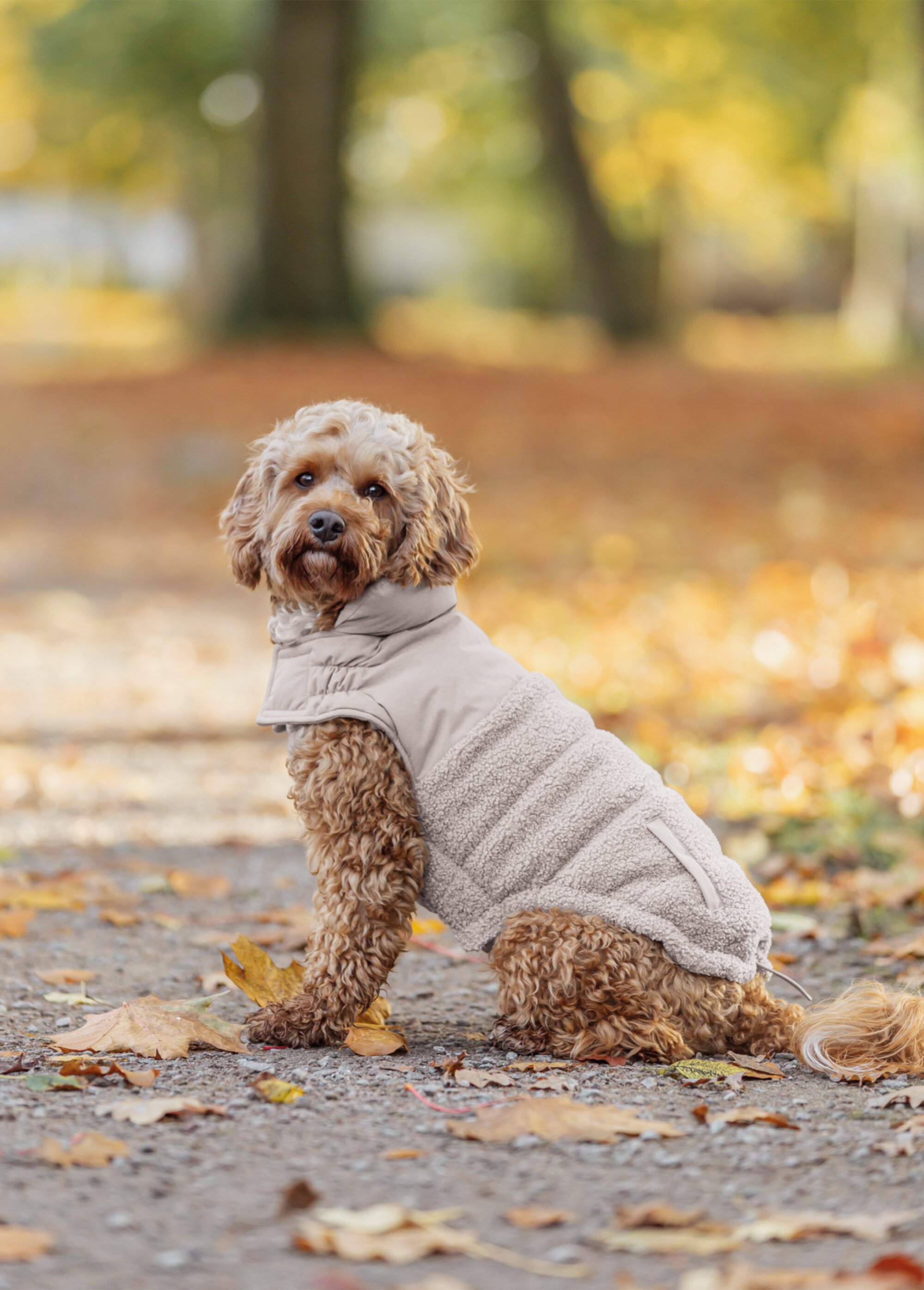 Manteau chaud déperlant pour chien GRIS TRX-680522 SI1