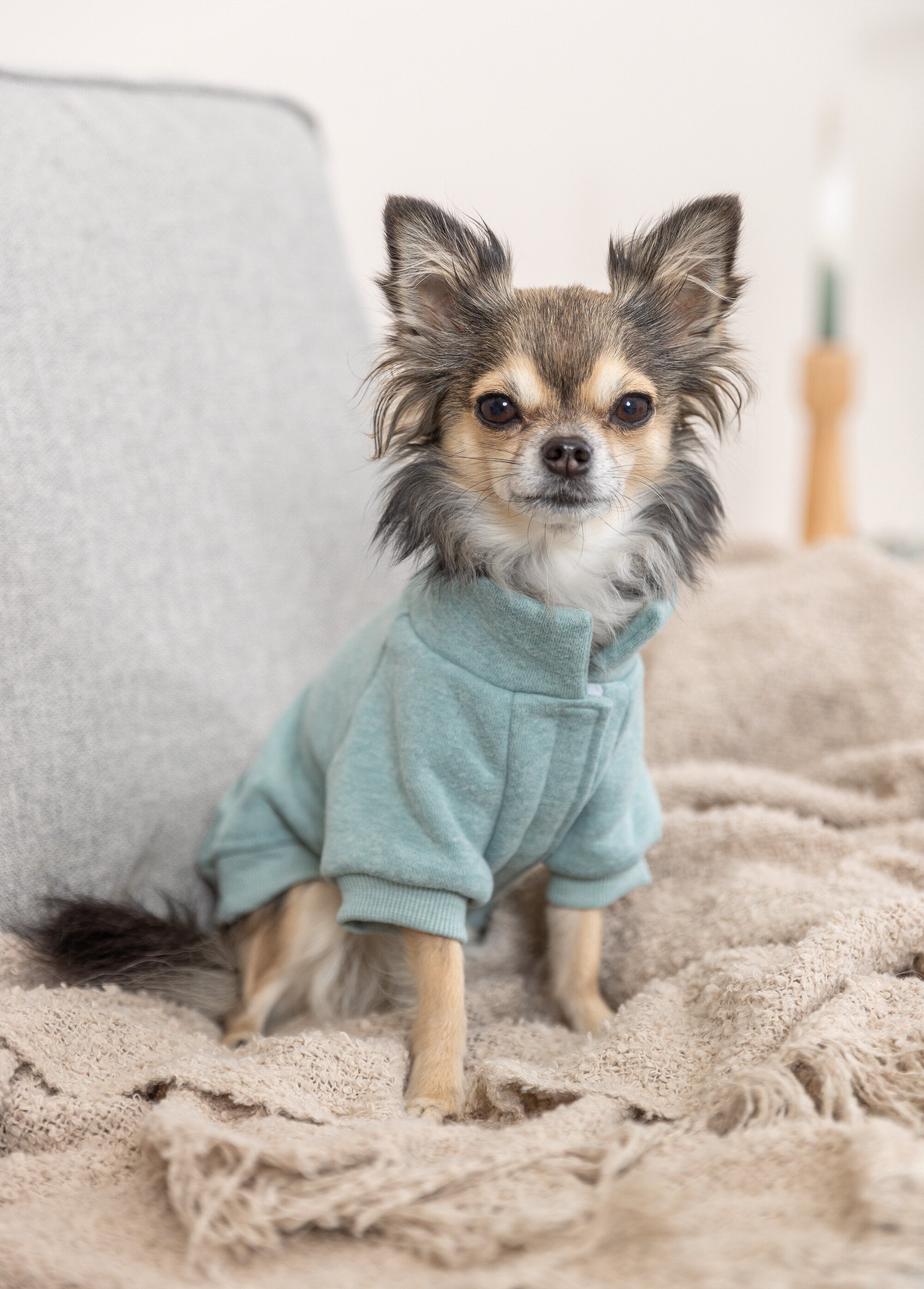 Manteau forme sweat shirt, pour chien VERT TRX-680812 SI1