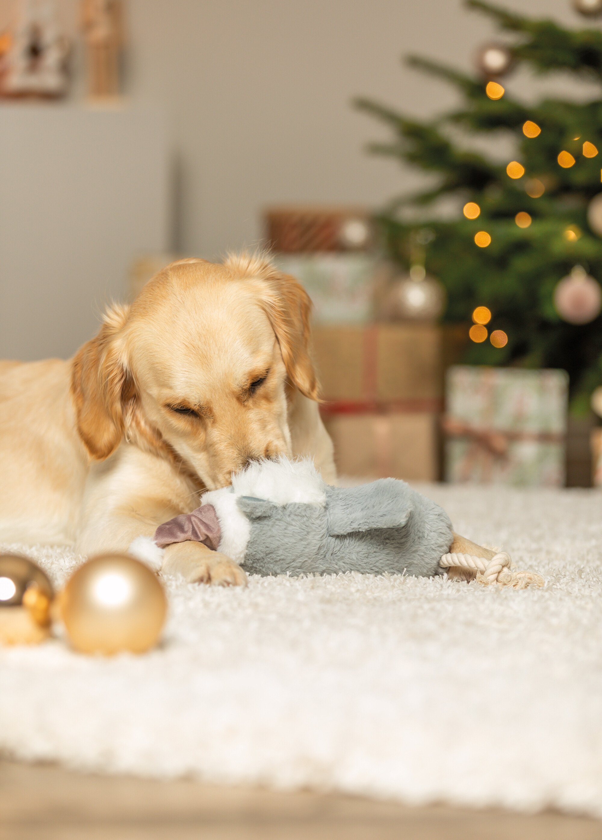 Peluche corde forme Hibou, pour chien GRIS TRX-92007 SI1