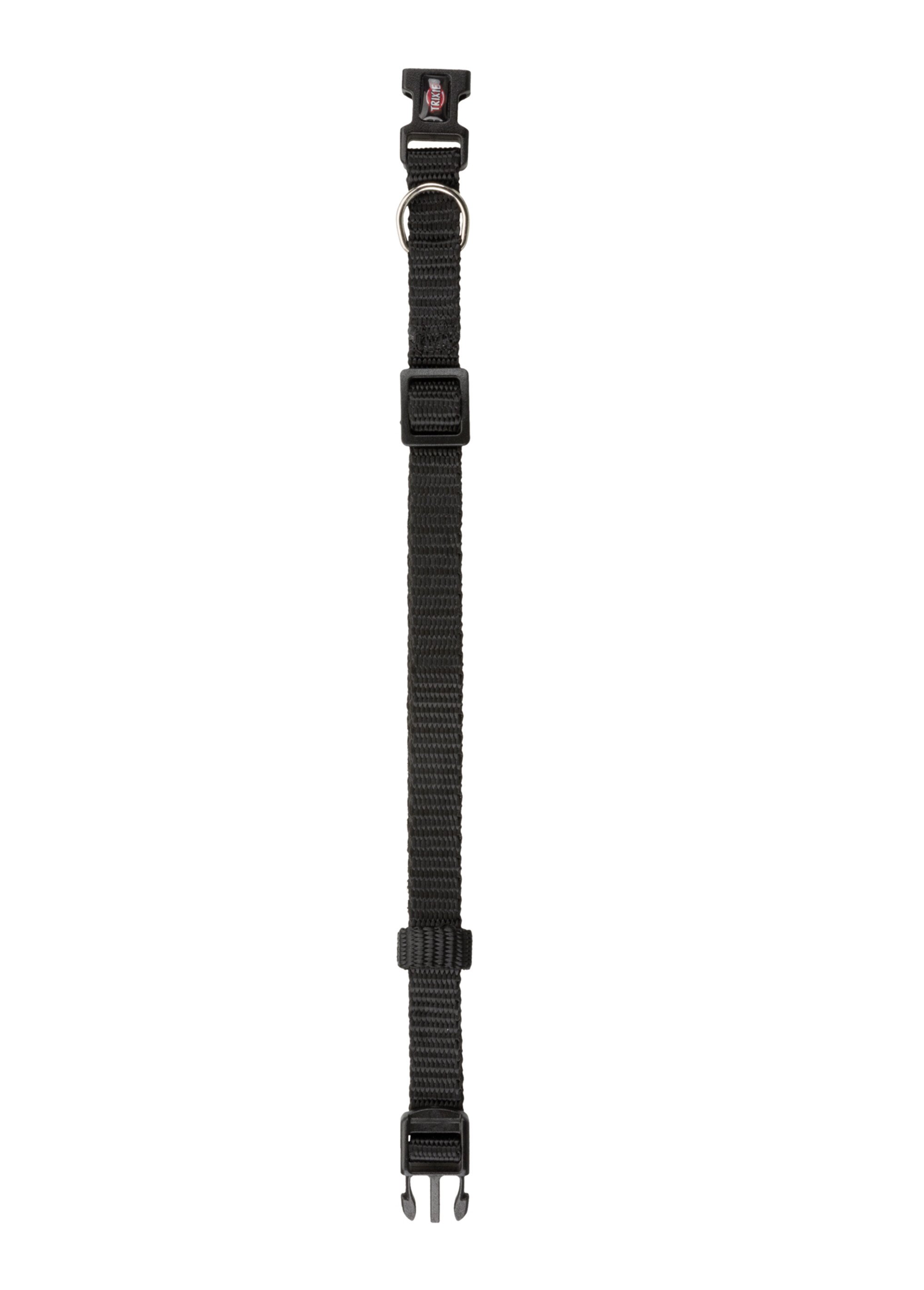 Collier sangle Premium pour chien