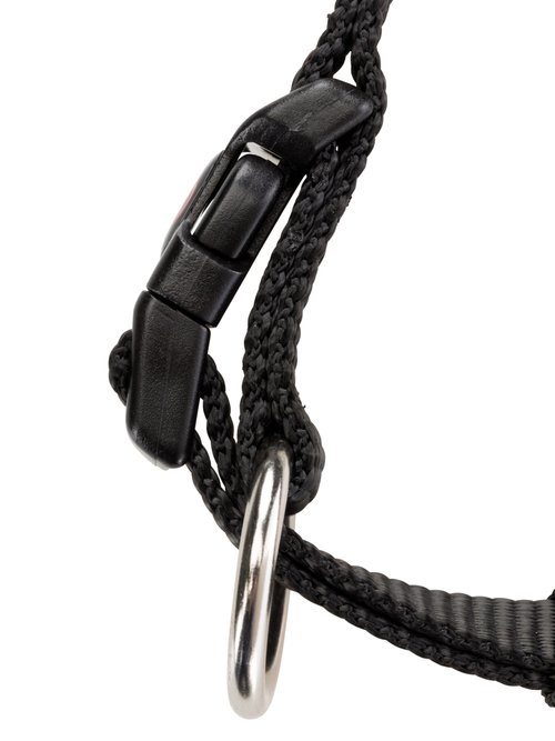 Collier sangle Premium pour chien NOIR TRX-201401 DE2