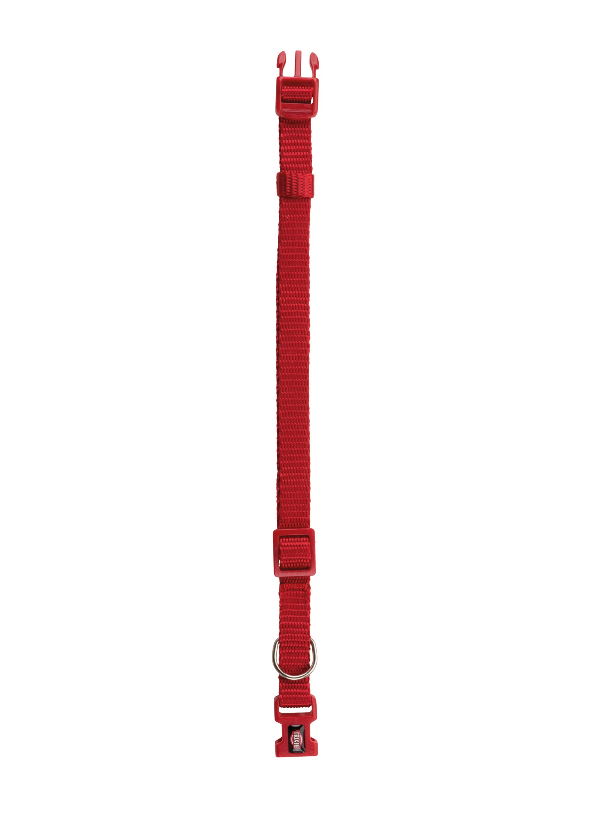 Collier sangle Premium pour chien