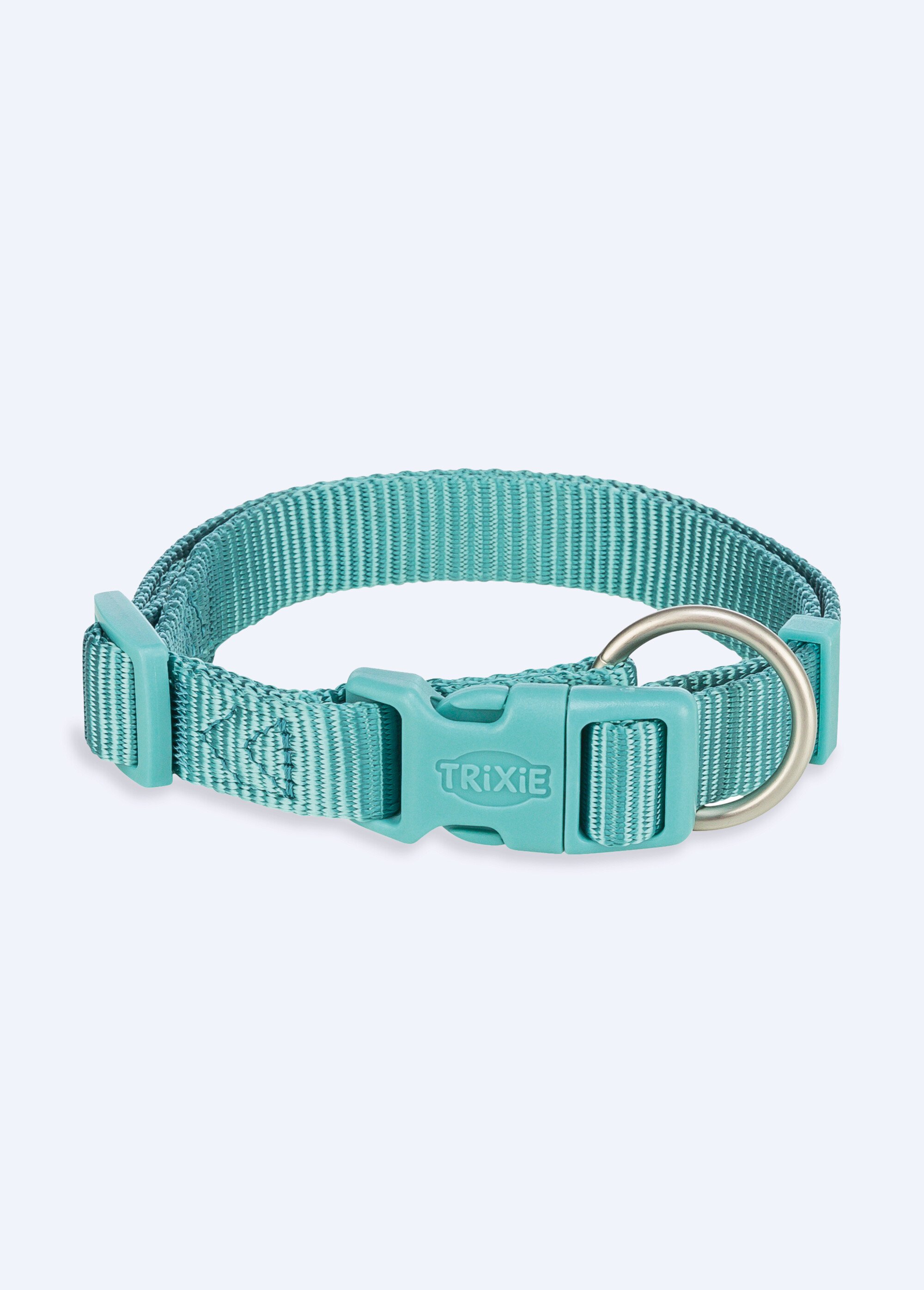 Collier sangle Premium pour chien