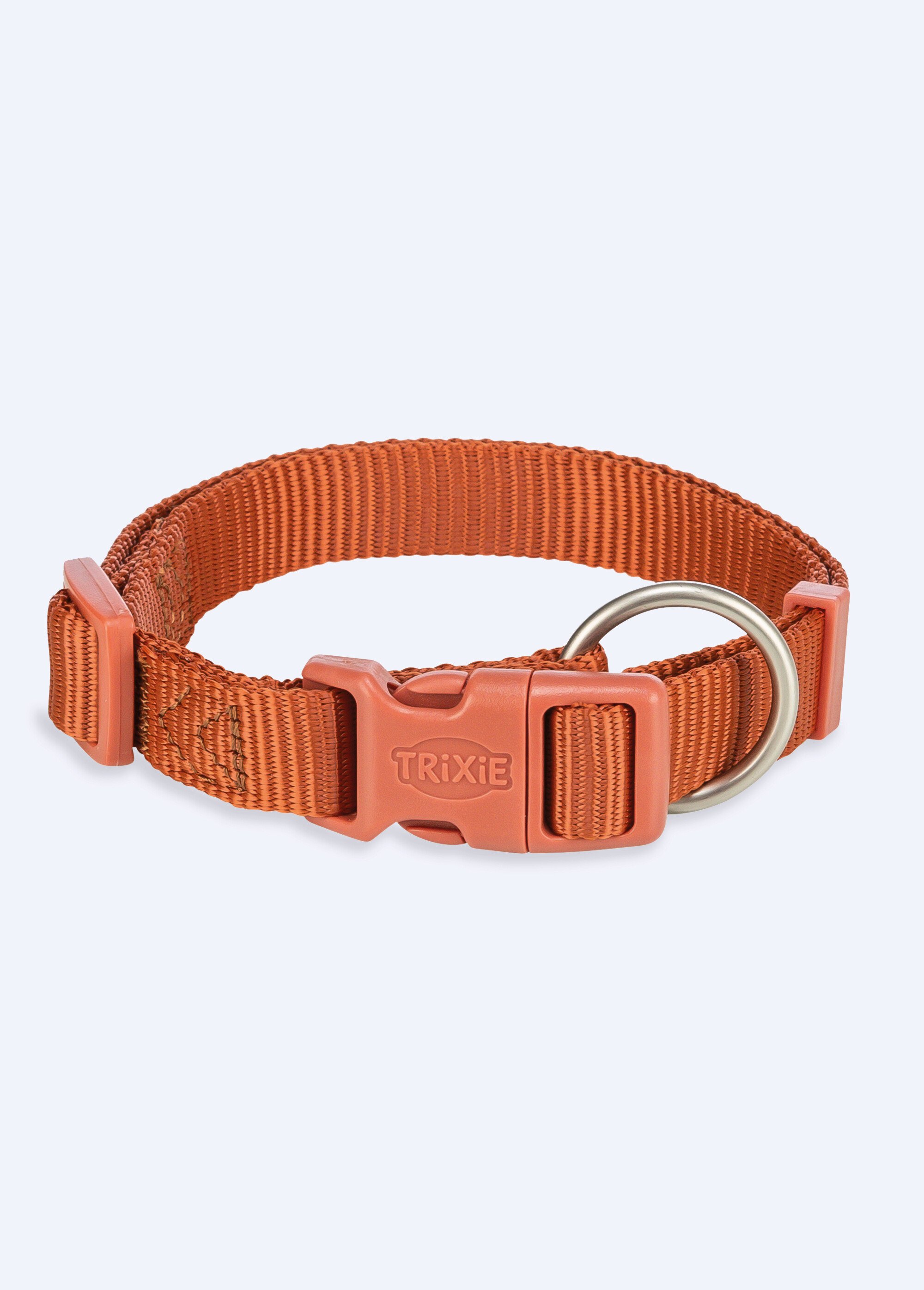 Collier sangle Premium pour chien
