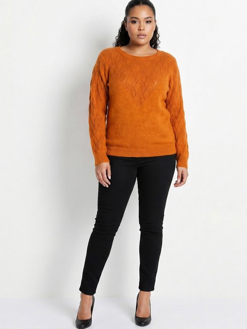 Pull doux uni col rond maille fantaisie Femme Grande Taille Marron PEUTON SI1