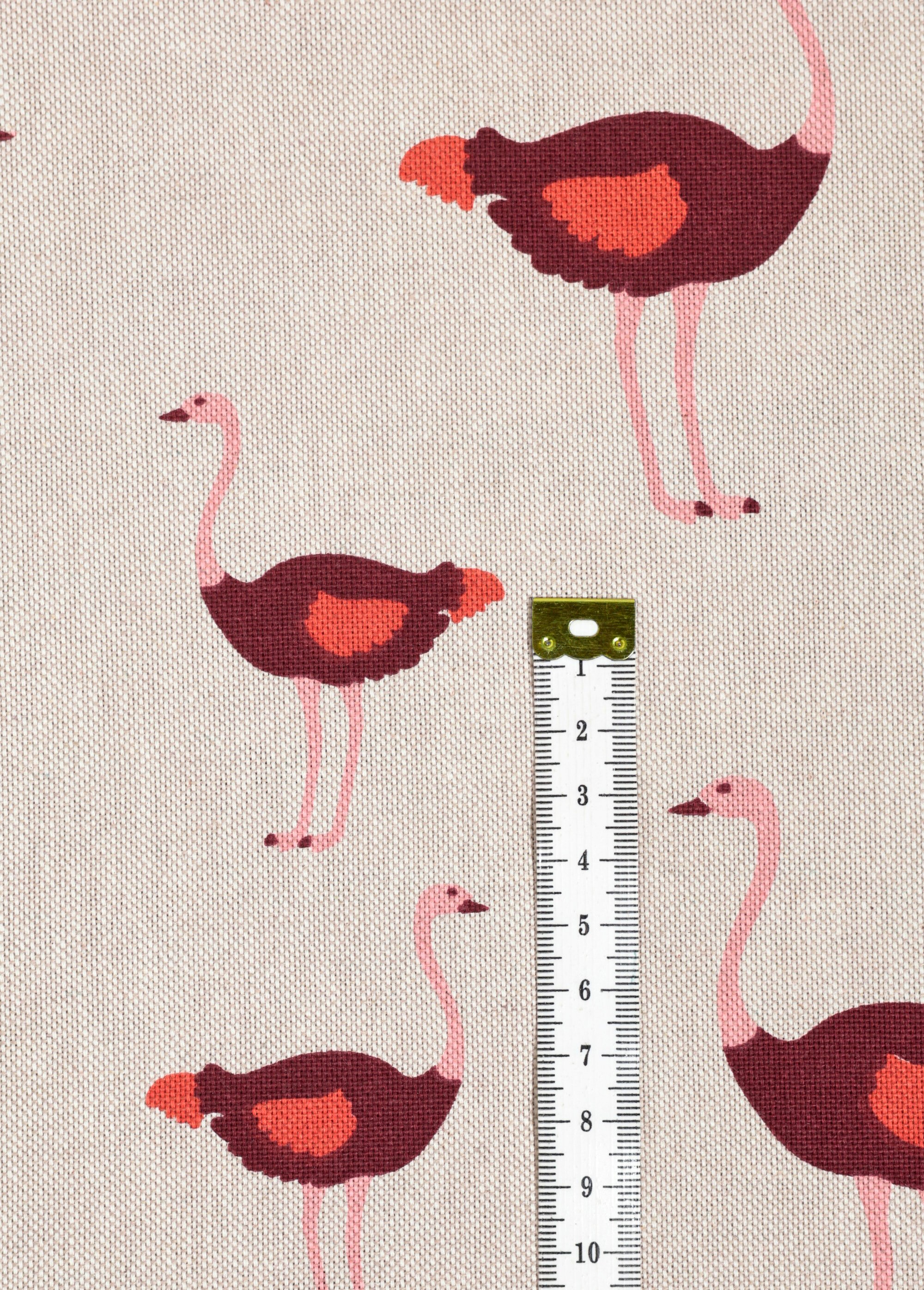 Coupon déco aspect lin, autruches 3x1,4m BEIGE COT149884 DE1