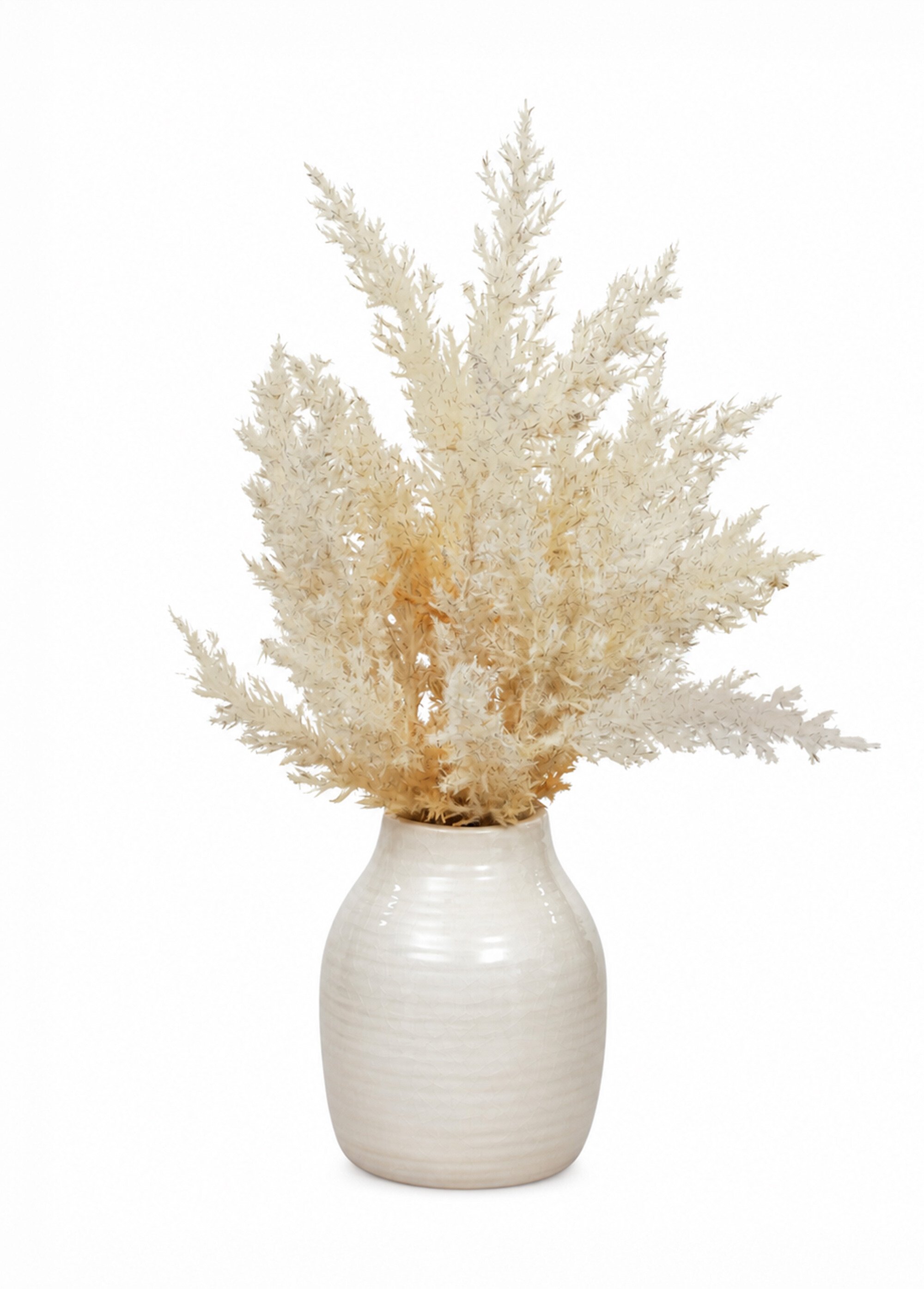 Vase avec graminées artificielles JAMES Blanc JJA-219007 FA1