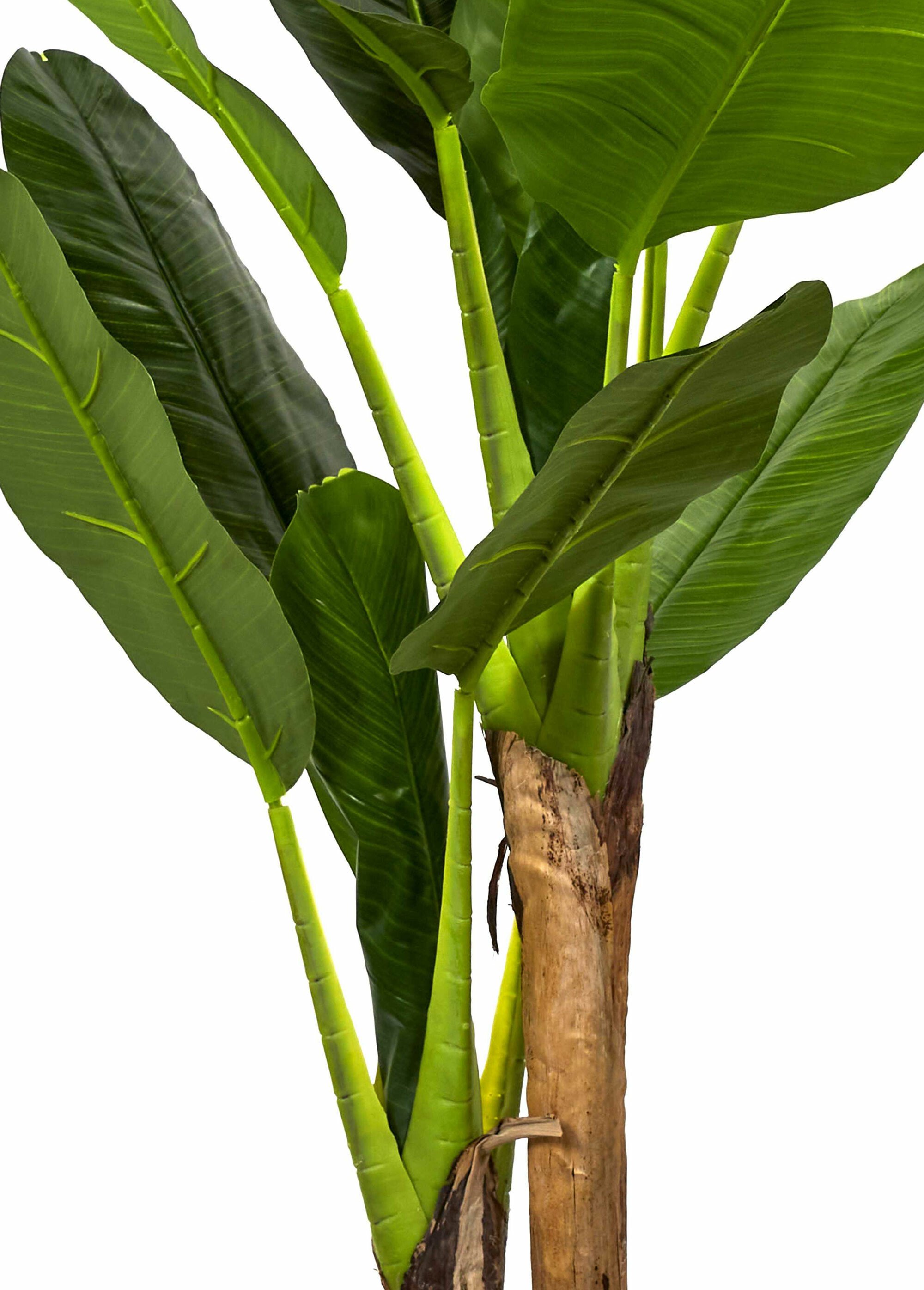 Grande plante artificielle, bananier Vert CMP-HD4189 DE2
