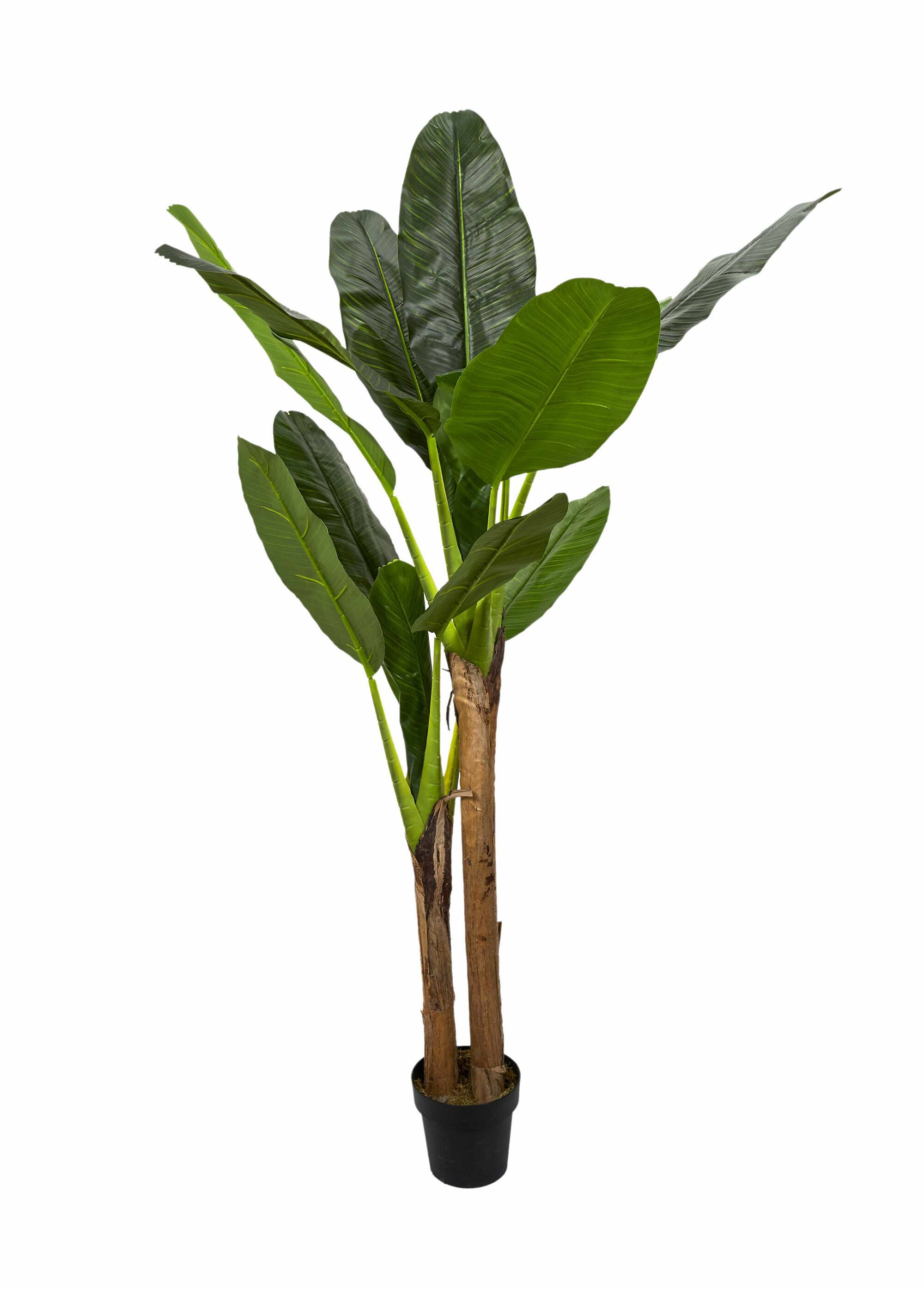 Grande plante artificielle, bananier Vert CMP-HD4189 FA1