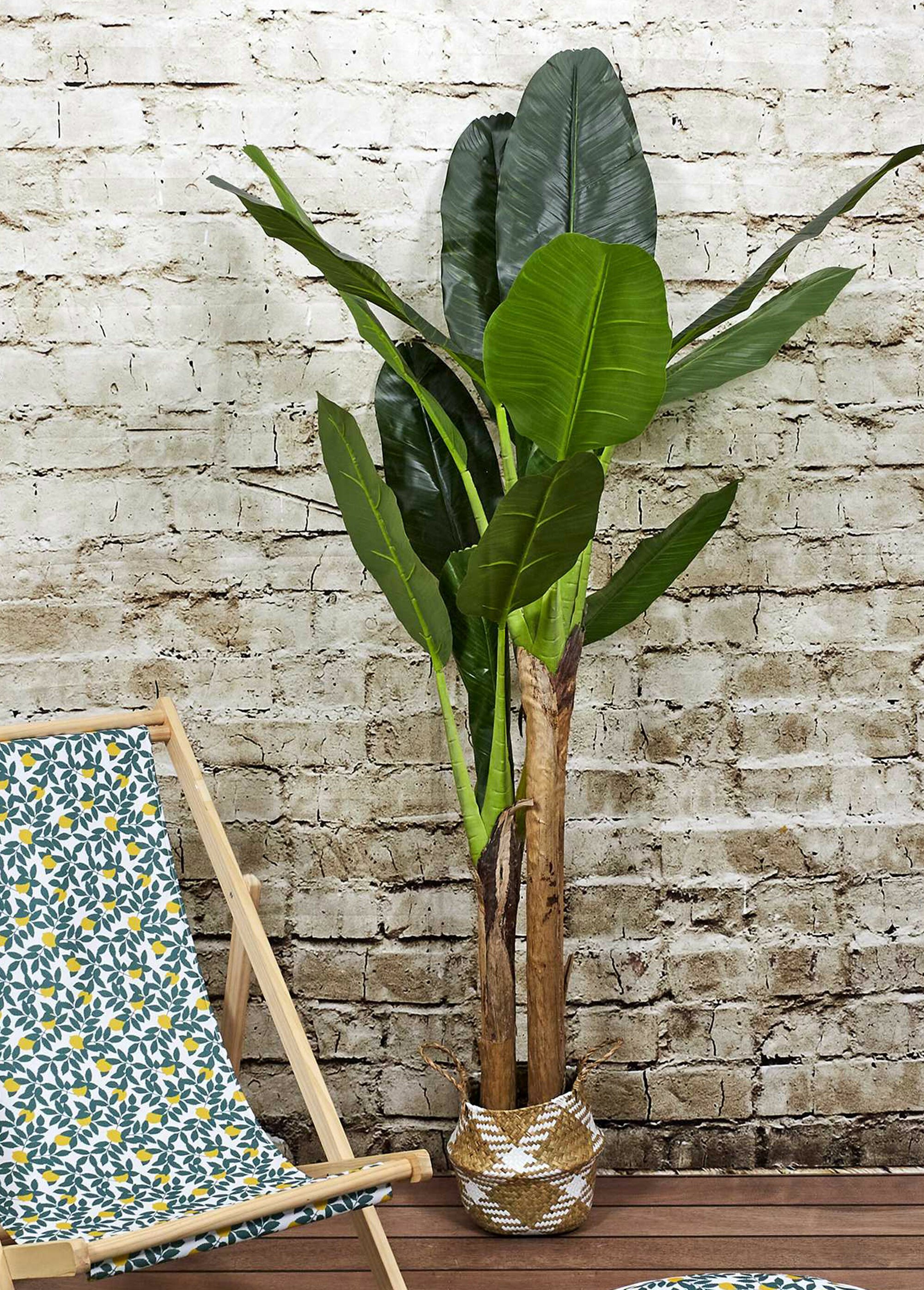 Grande plante artificielle, bananier Vert CMP-HD4189 SI1