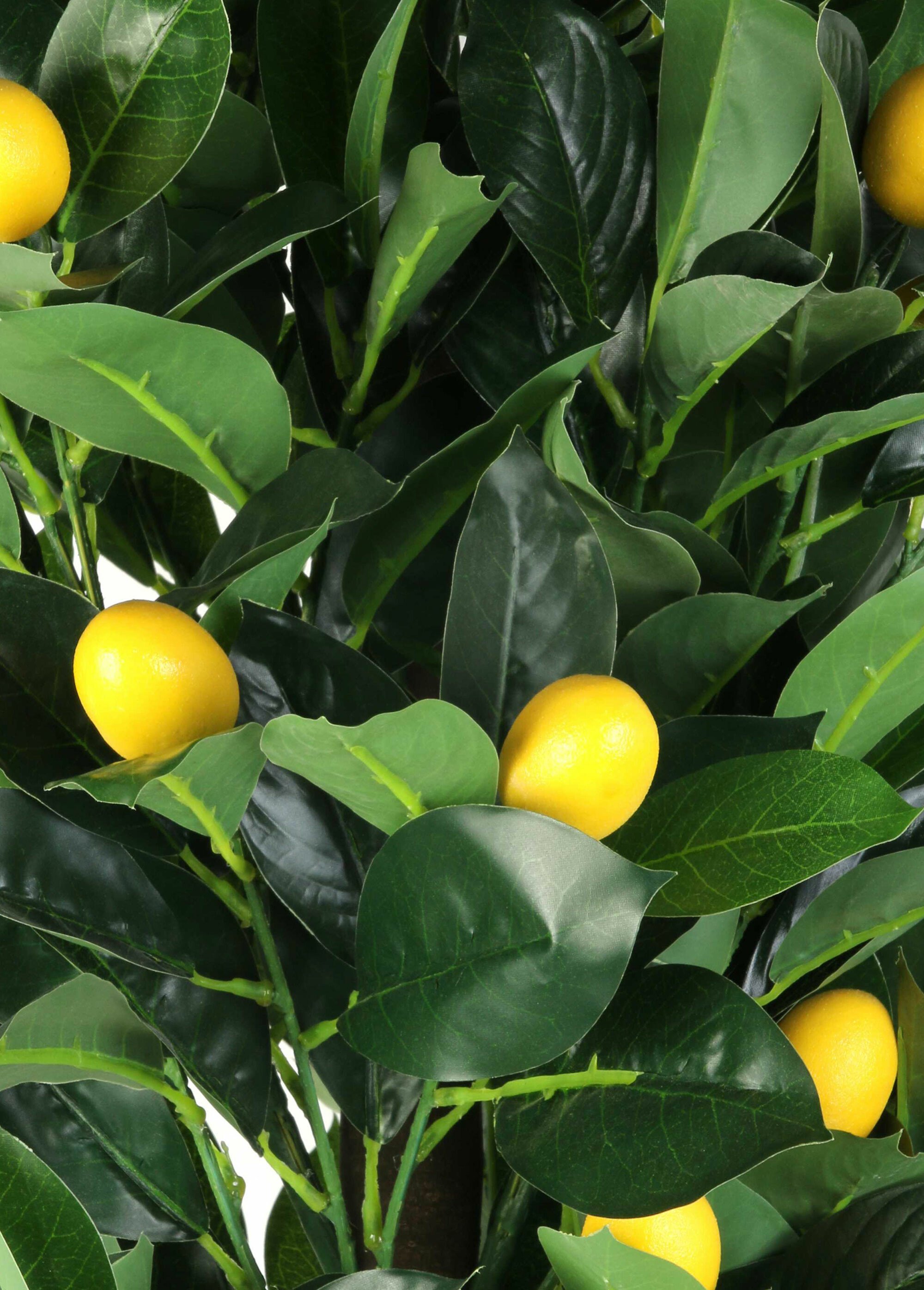 Grande plante artificielle citronnier Vert CMP-HD4153 DE1