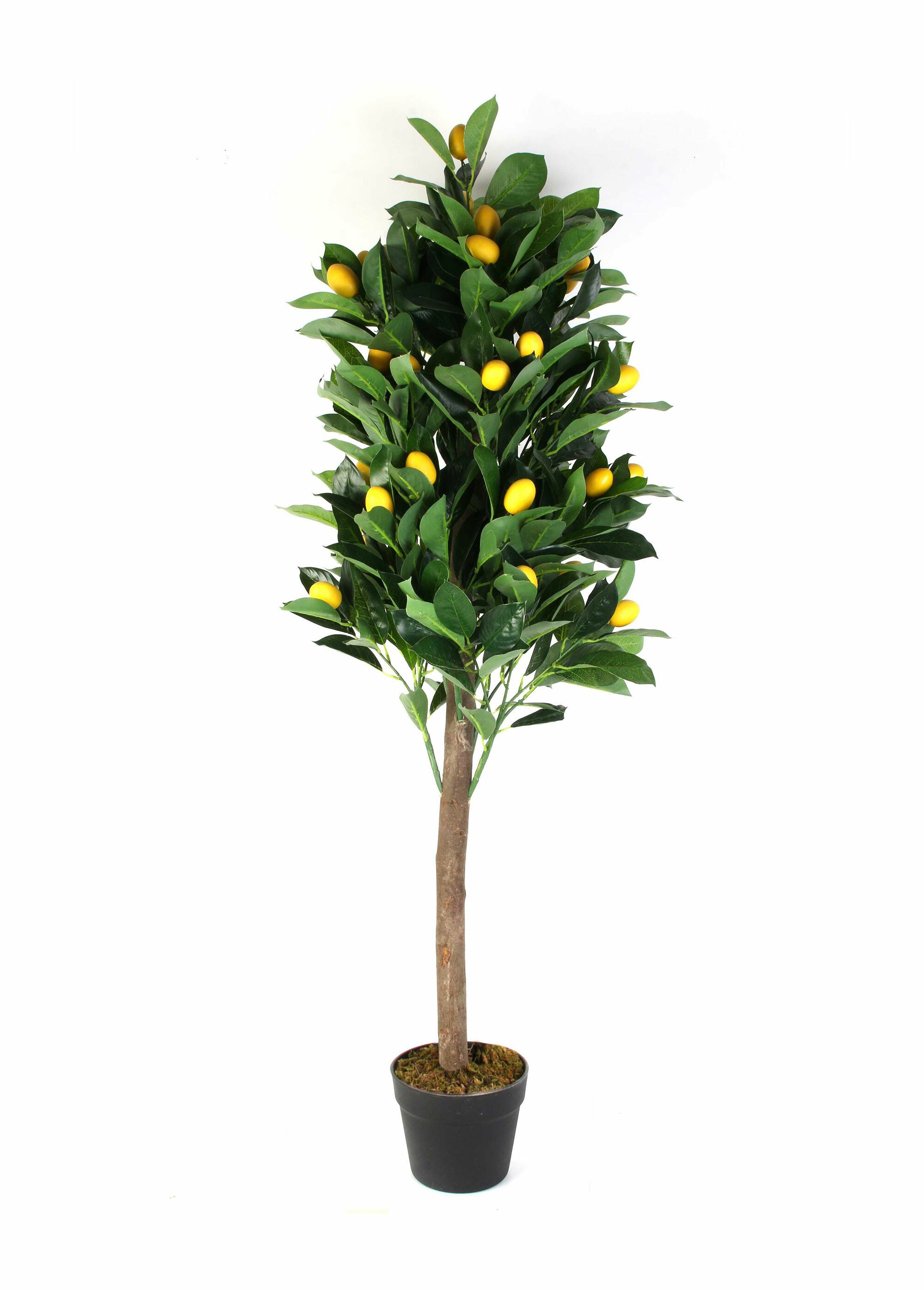 Grande plante artificielle citronnier Vert CMP-HD4153 FA1