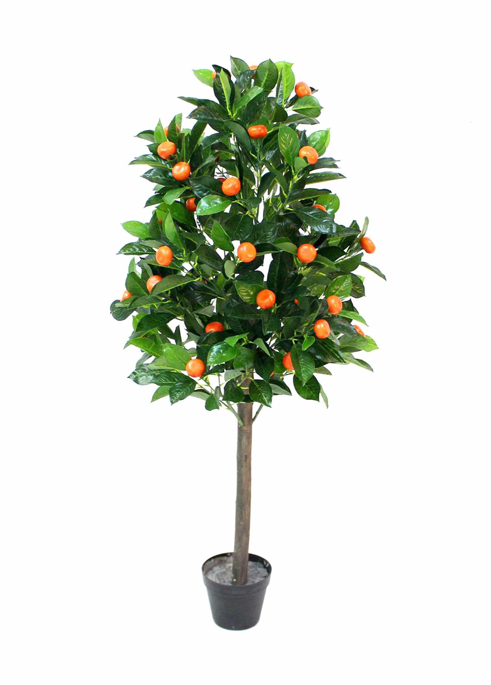 Grande plante artificielle oranger