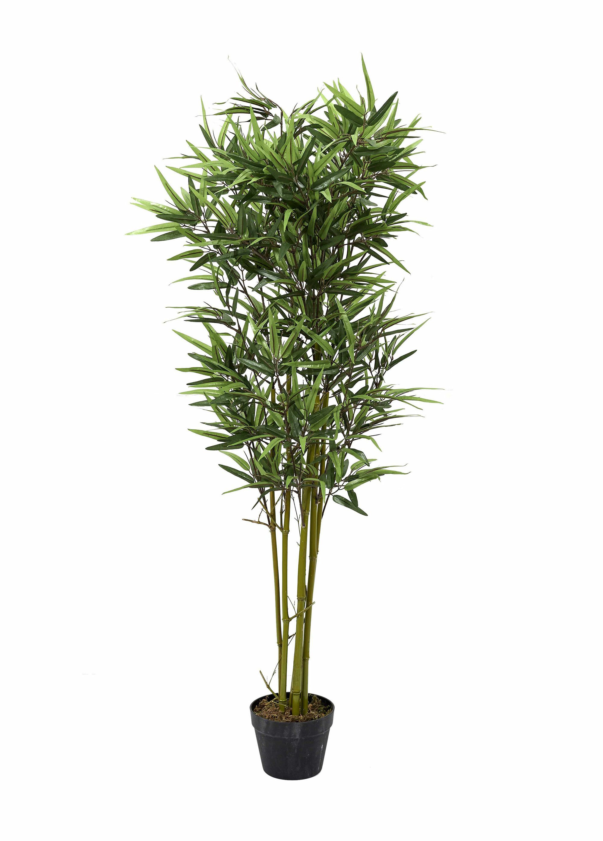 Grande plante artificielle type bambou Vert CMP-HD4182 FA1