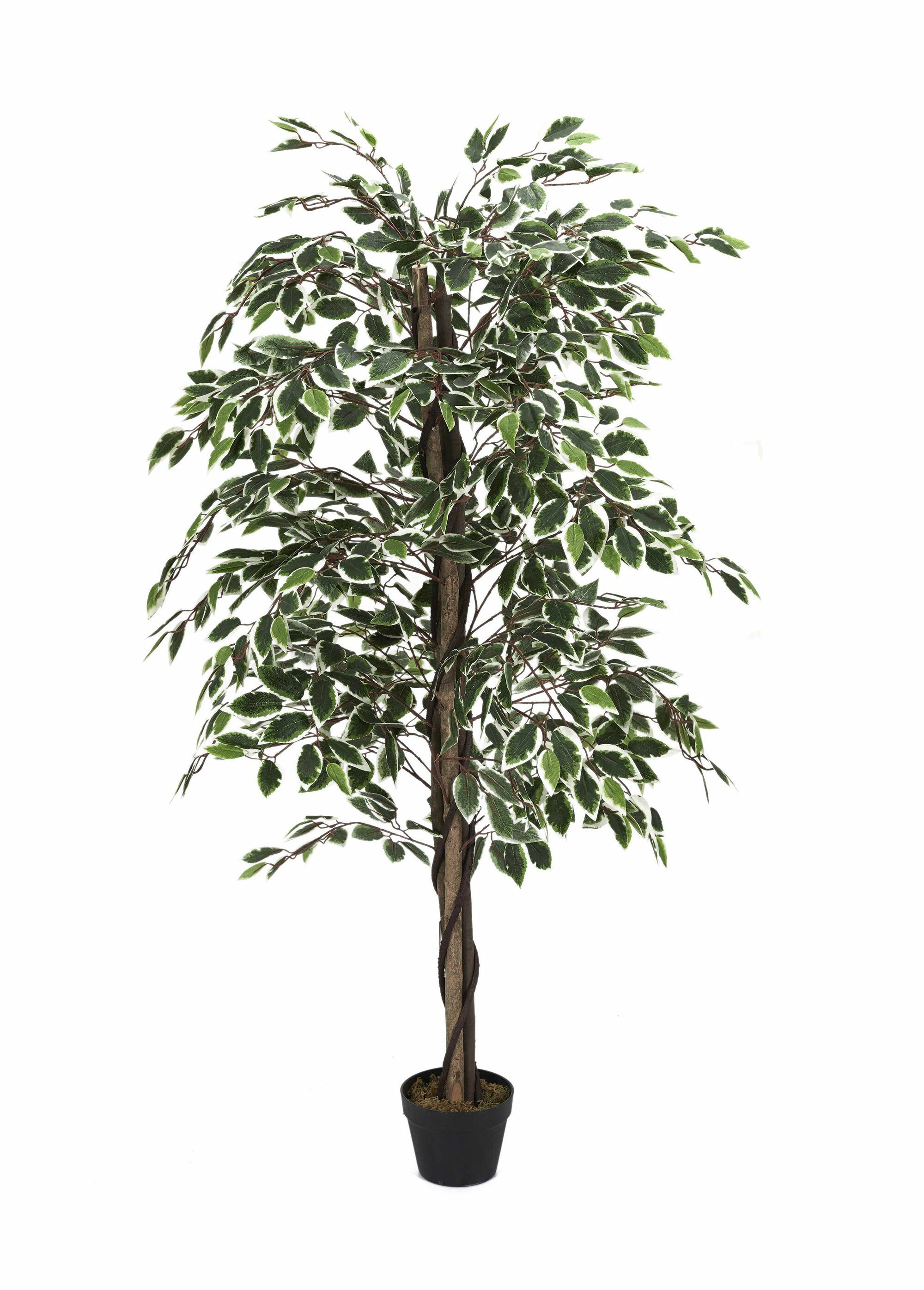 Plante artificielle feuillage panaché Vert CMP-HD4181 FA1