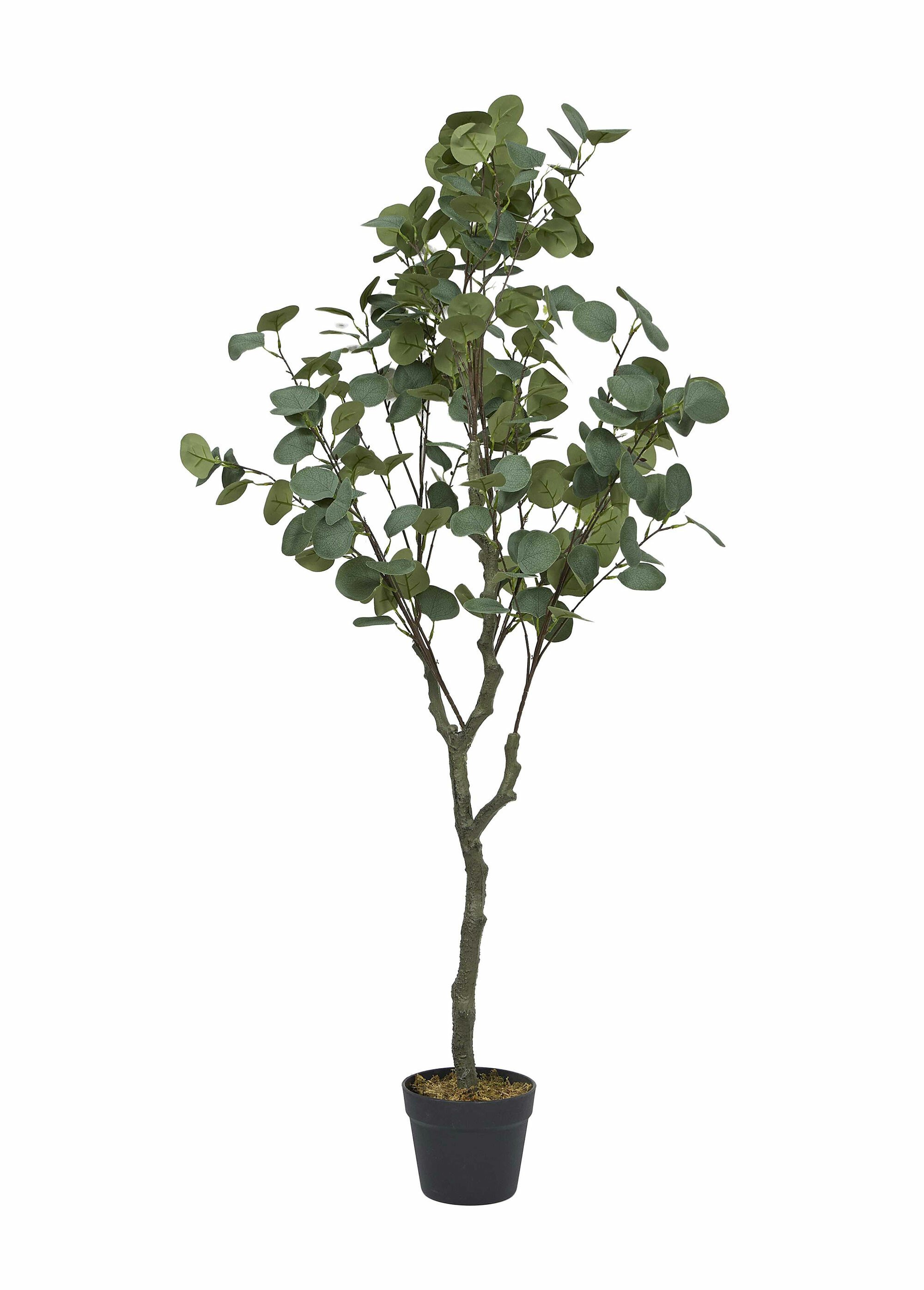 Grande plante artificielle eucalyptus