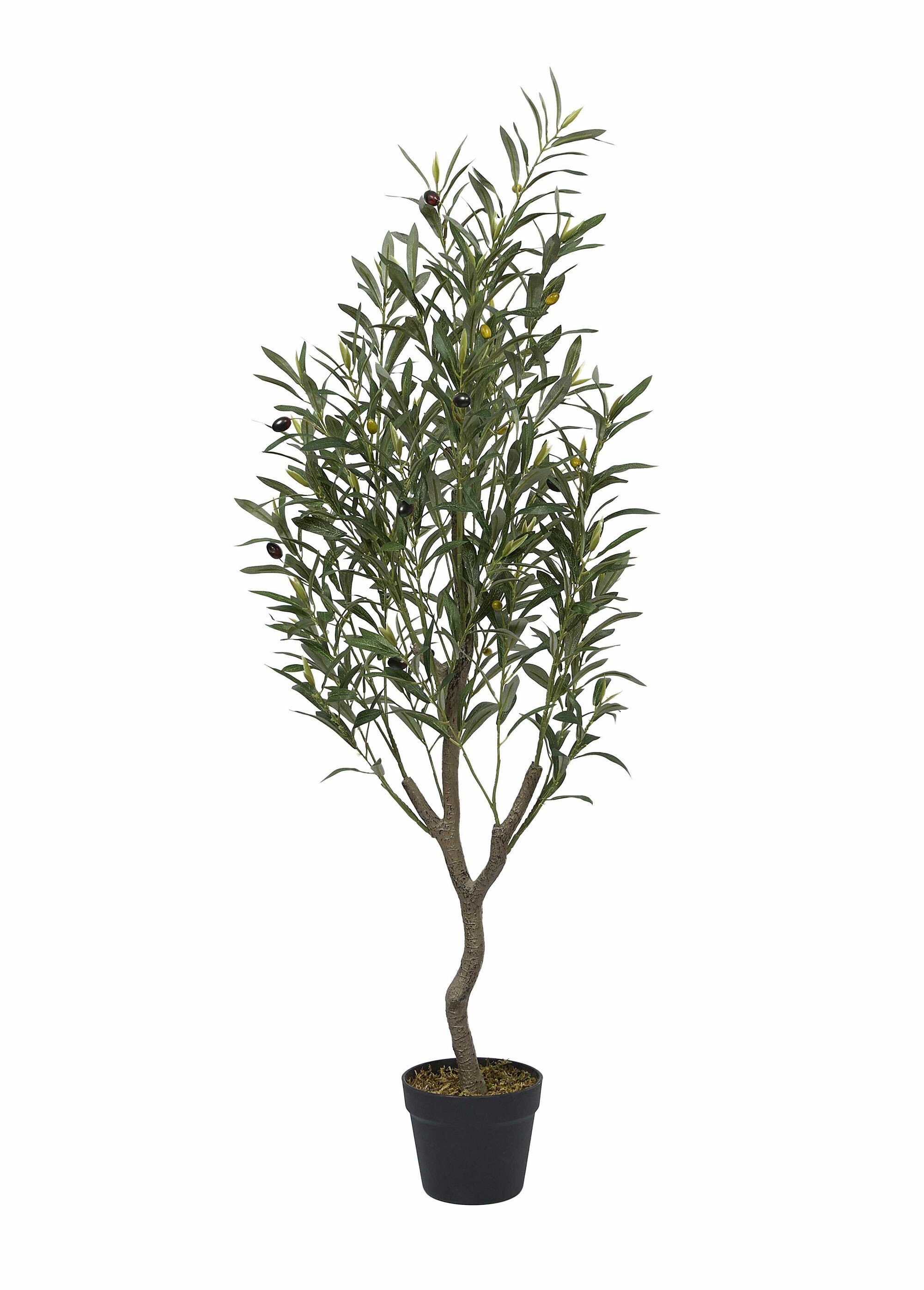 Grande plante artificielle olivier