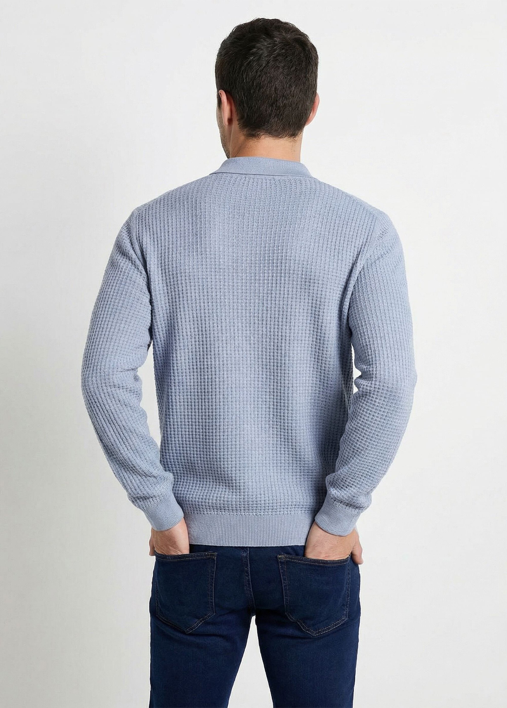 Pull col polo boutonné manches longues coton Homme Gris FORMEL DO1