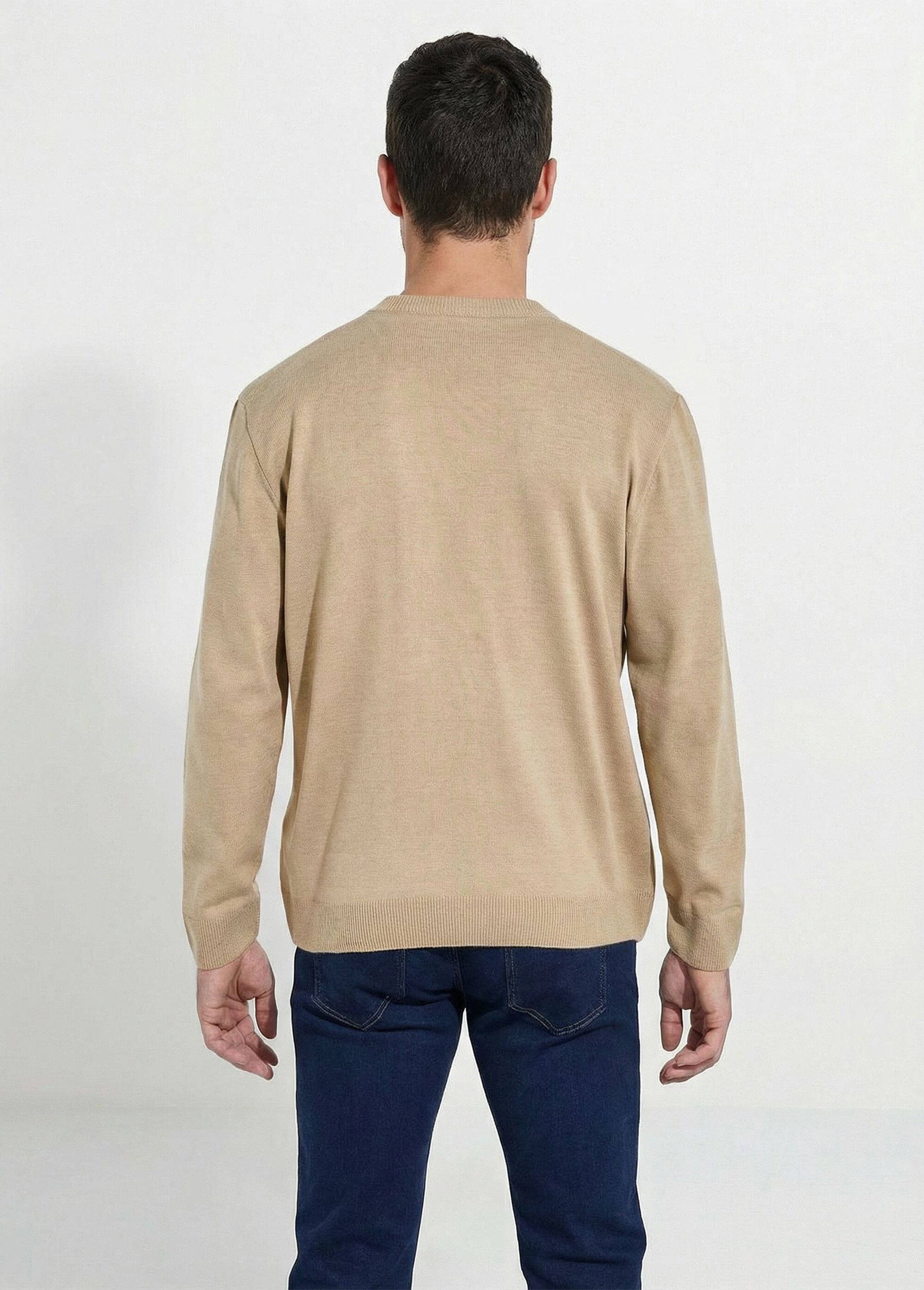 Pull fin col V jersey doux manches longues Homme Beige FINEST DO1