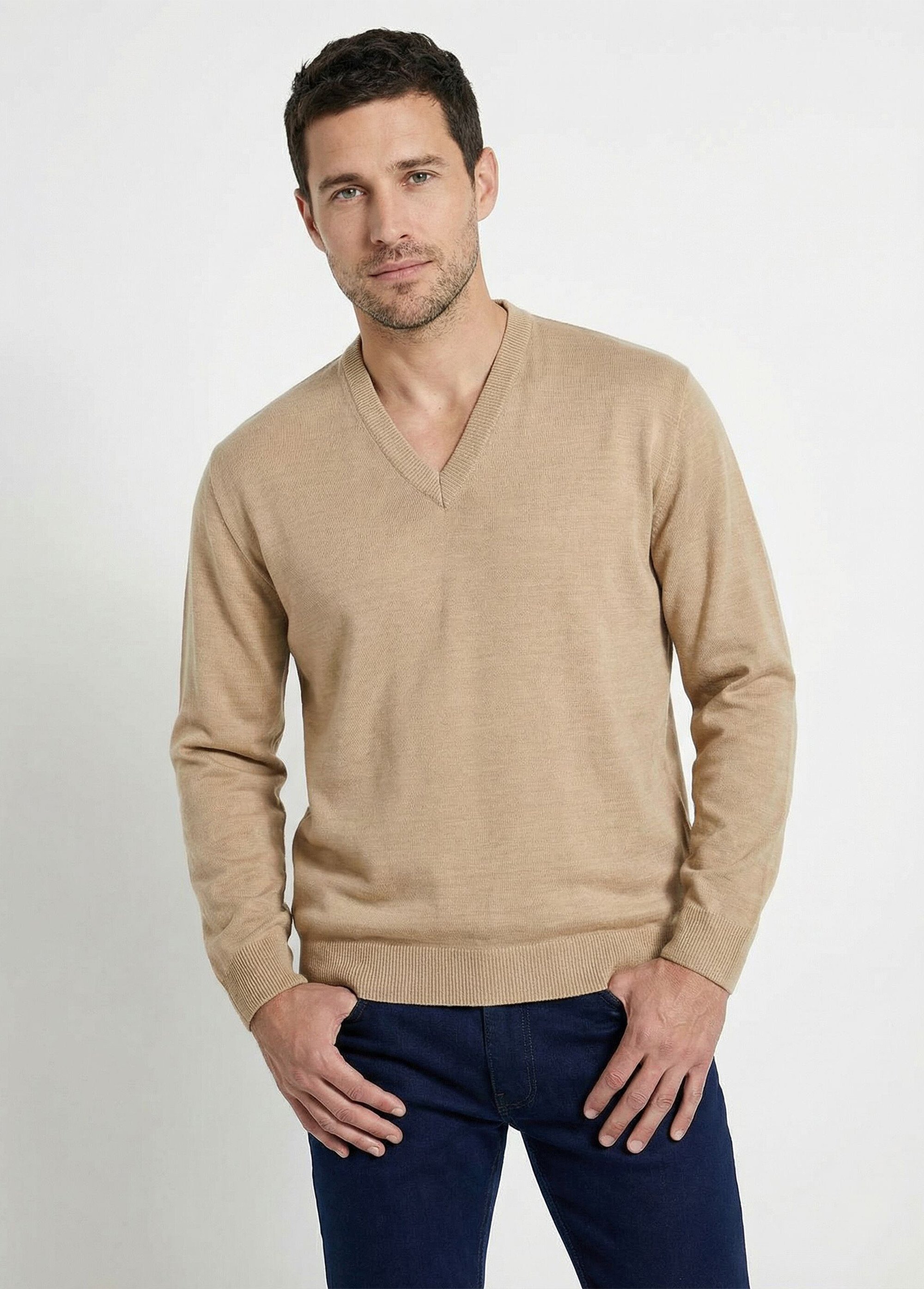 Pull fin col V jersey doux manches longues Homme Beige FINEST FA1